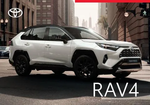 RAV4
 