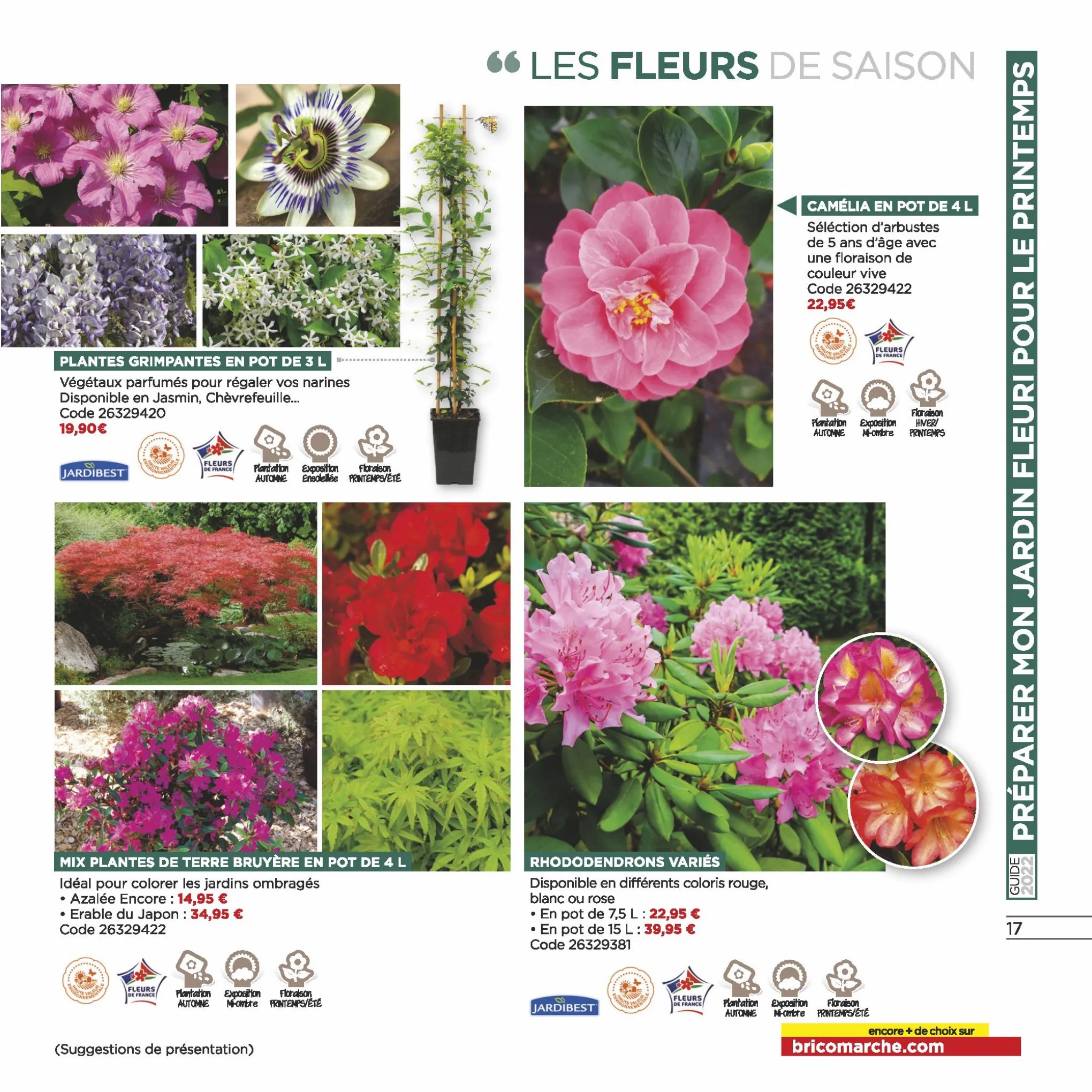 Catalogue Guide jardin d'automne, page 00017