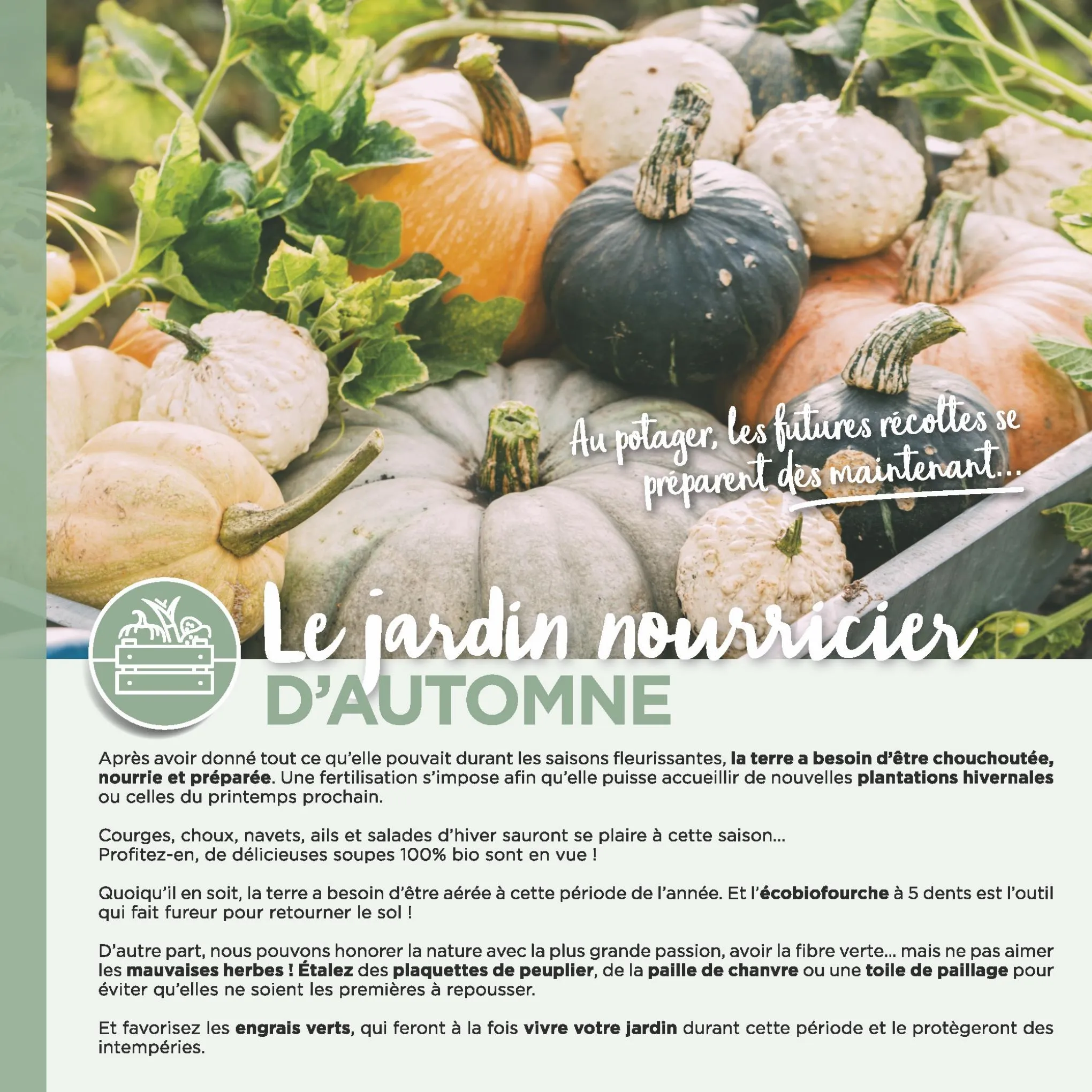 Catalogue Guide jardin d'automne, page 00006