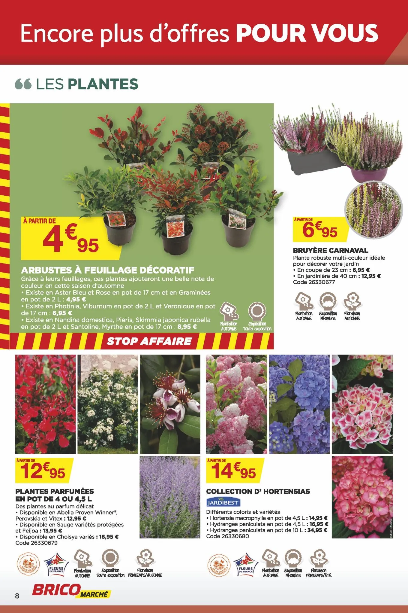 Catalogue Best-of guide jardin d'automne, page 00008