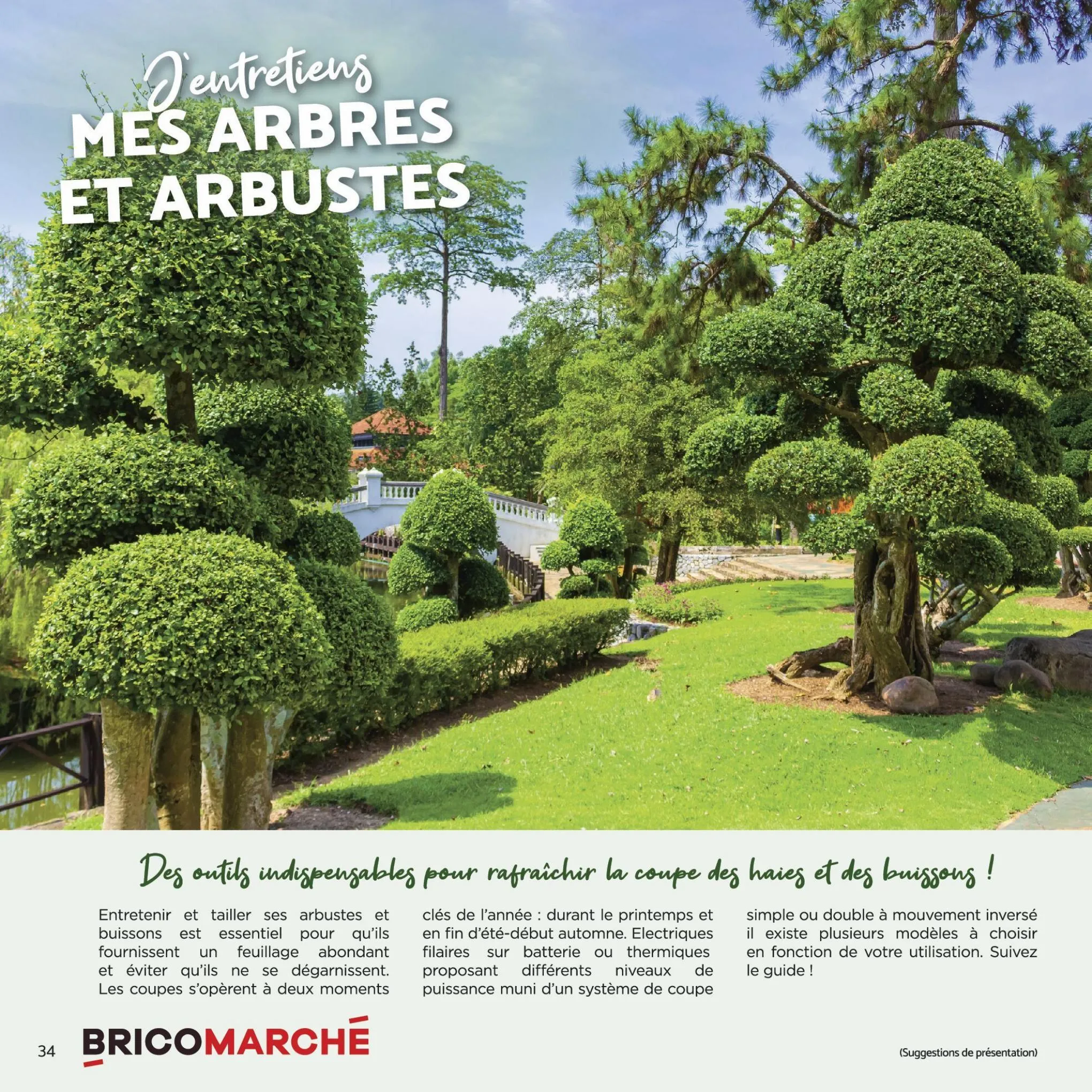 Catalogue Guide jardin et motoculture, page 00034