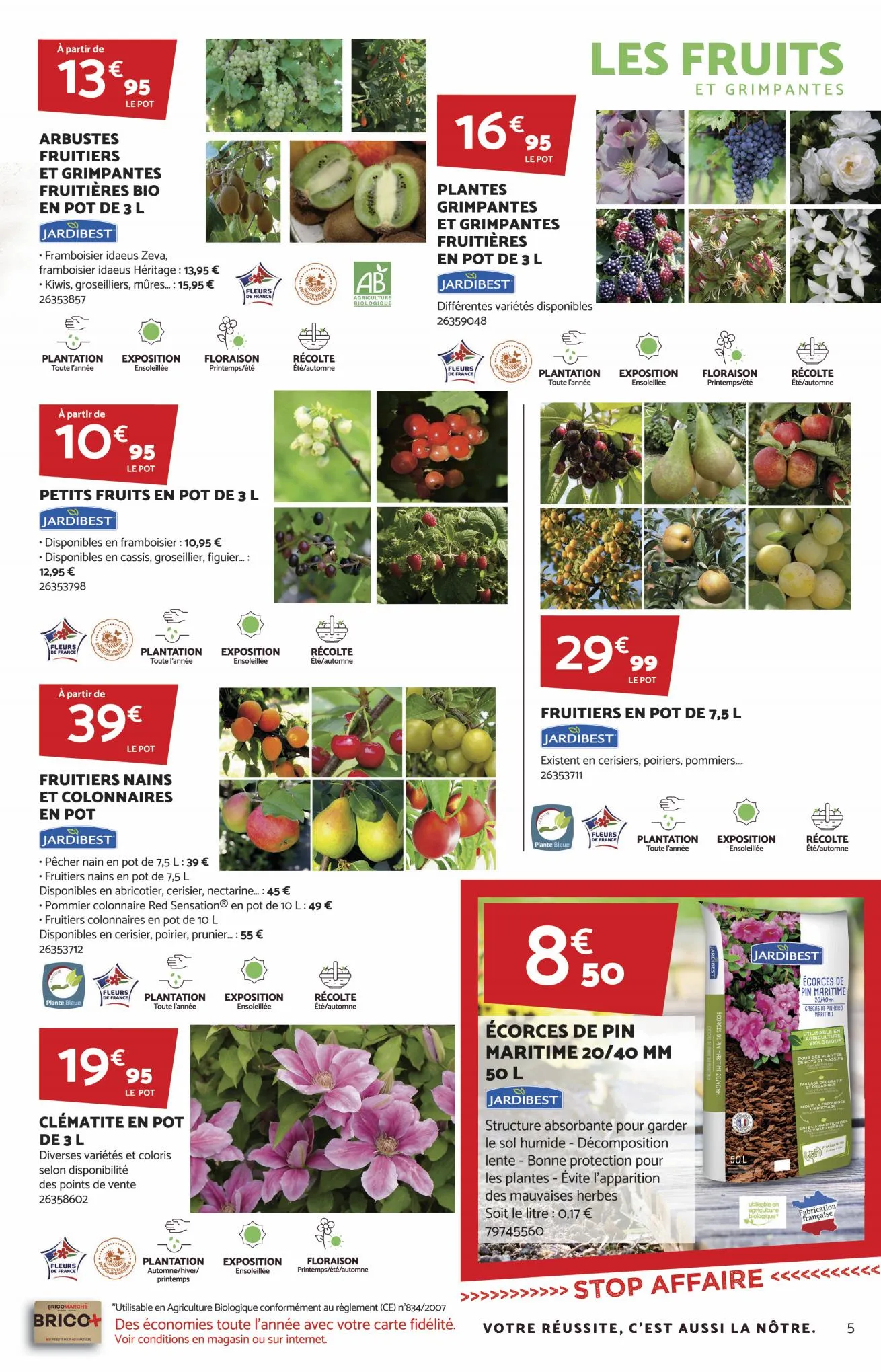 Catalogue Thématique jardins fleuris, page 00005