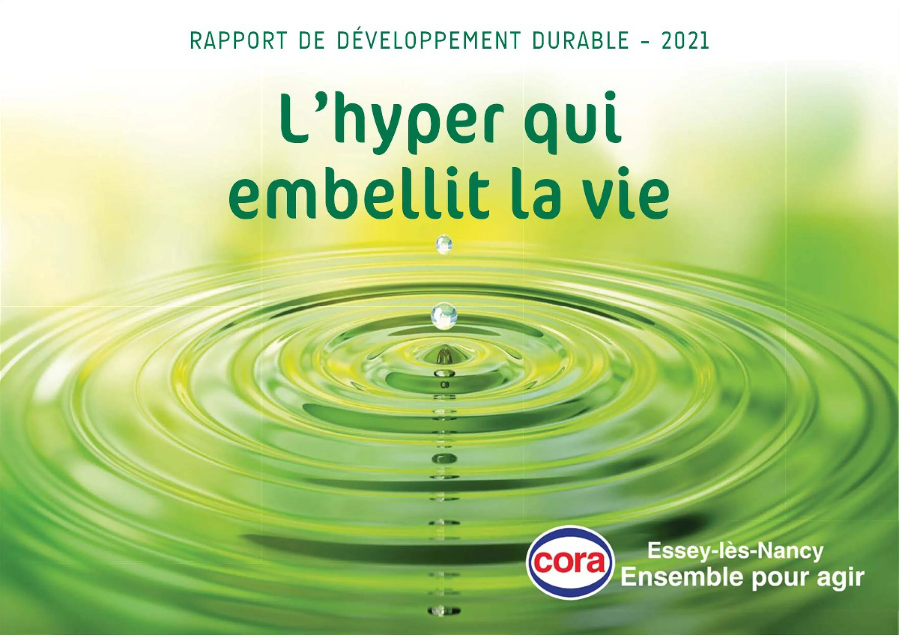 Catalogue Rapport développement durable 2021, page 00001