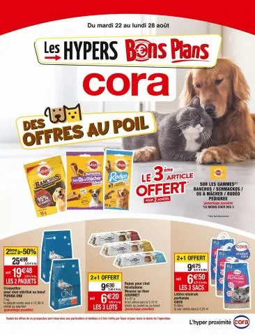 LES HYPERS BONS PLANS