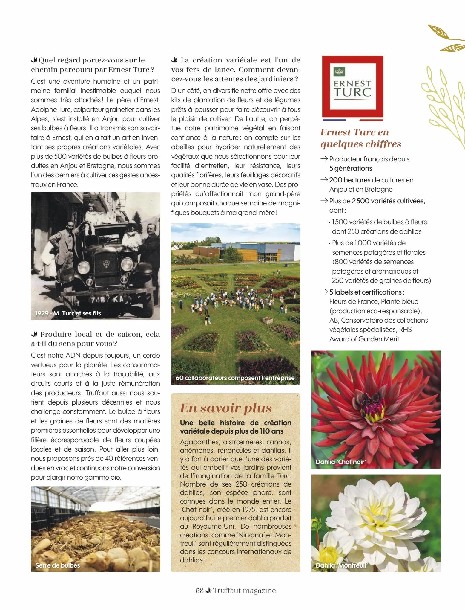 Catalogue Truffaut PDF internet T23001, page 00053