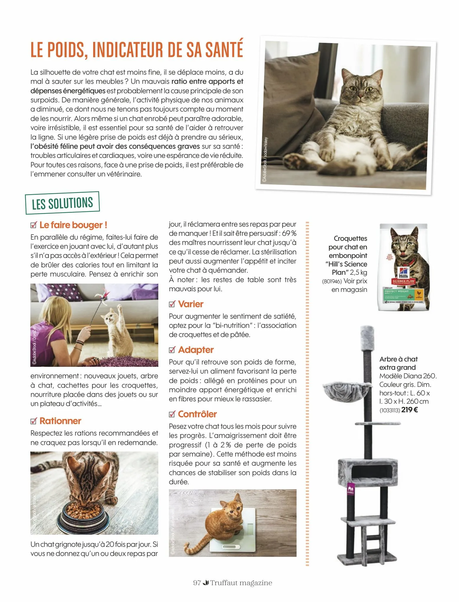 Catalogue Truffaut PDF internet T23001, page 00097