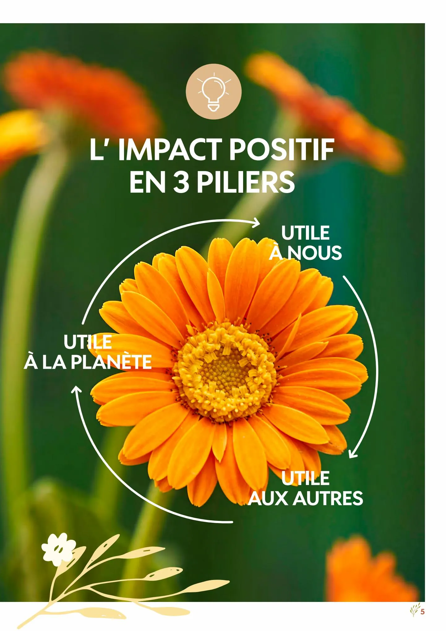 Catalogue Impacts Positifs Truffaut, page 00005