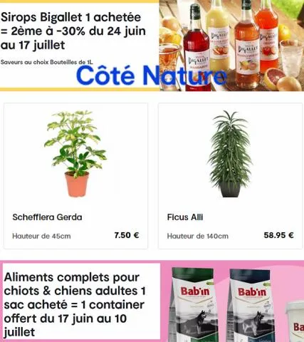 30% de réduction sur le marché!