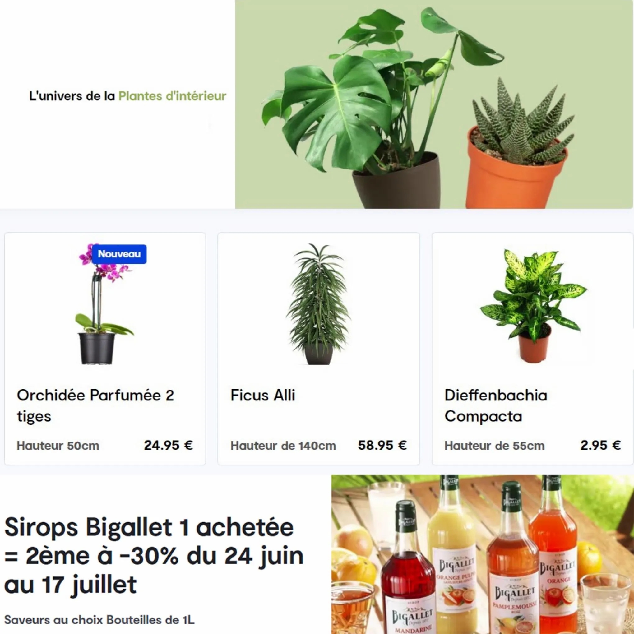 Catalogue PROMOS Côté Nature, page 00003