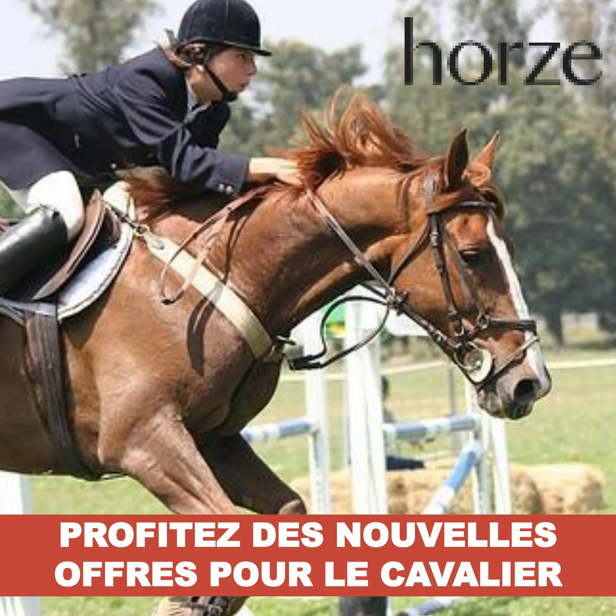 Catalogue Profitez des nouvelles offres pour le cavalier, page 00001