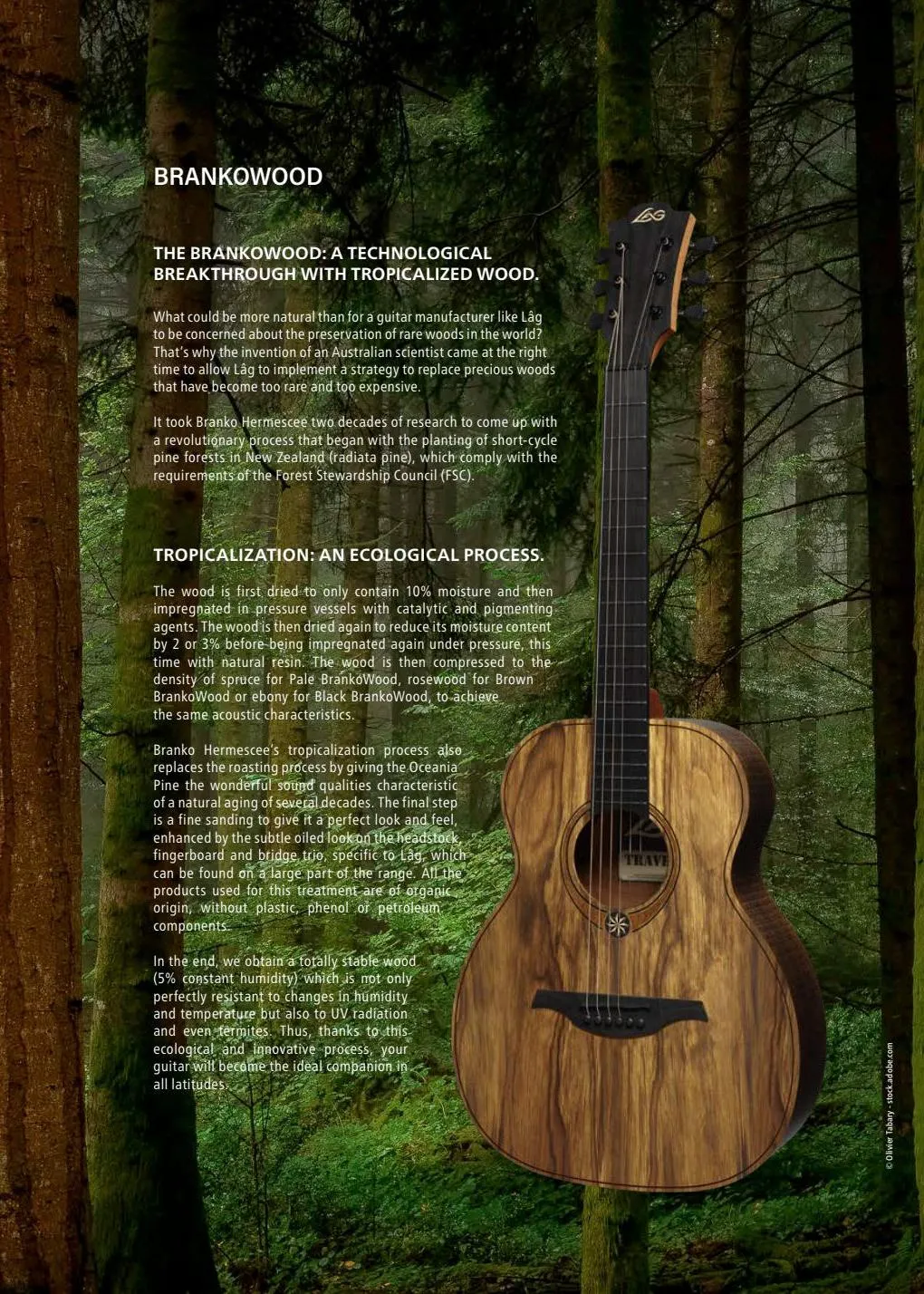 Catalogue Lâg Guitars Catalogue 2022-2023, page 00009