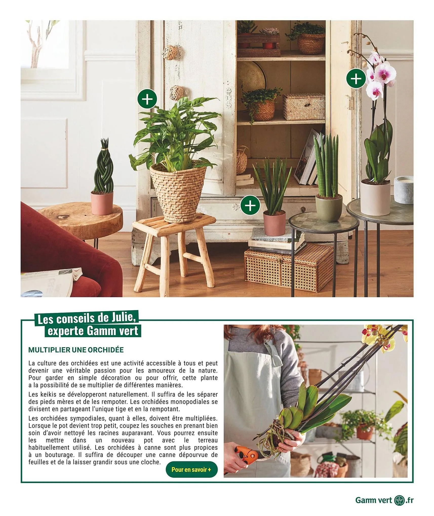 Catalogue Catalogue Gamm vert, page 00003