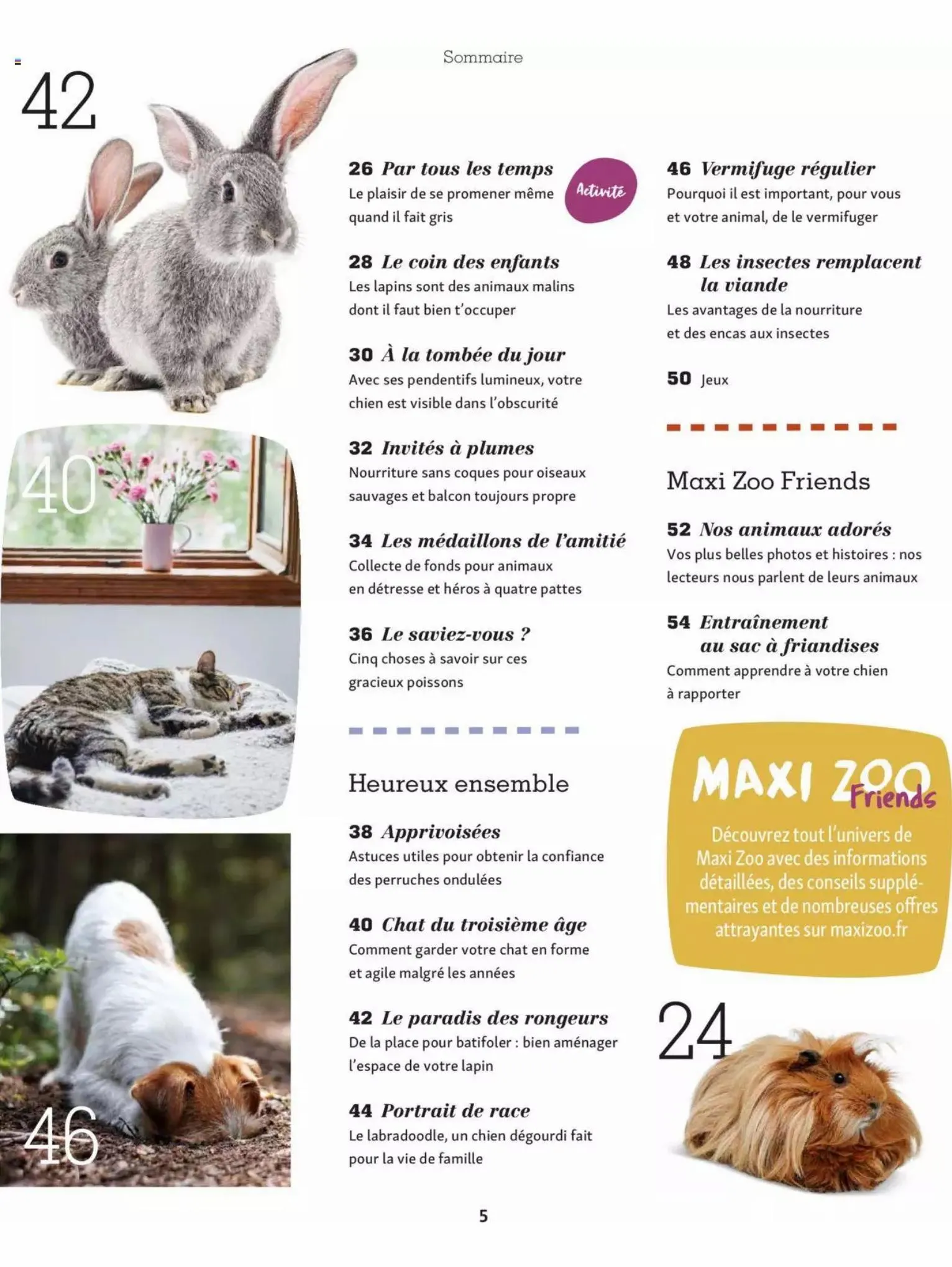 Catalogue Maxi Zoo Catalogue Automne, page 00005