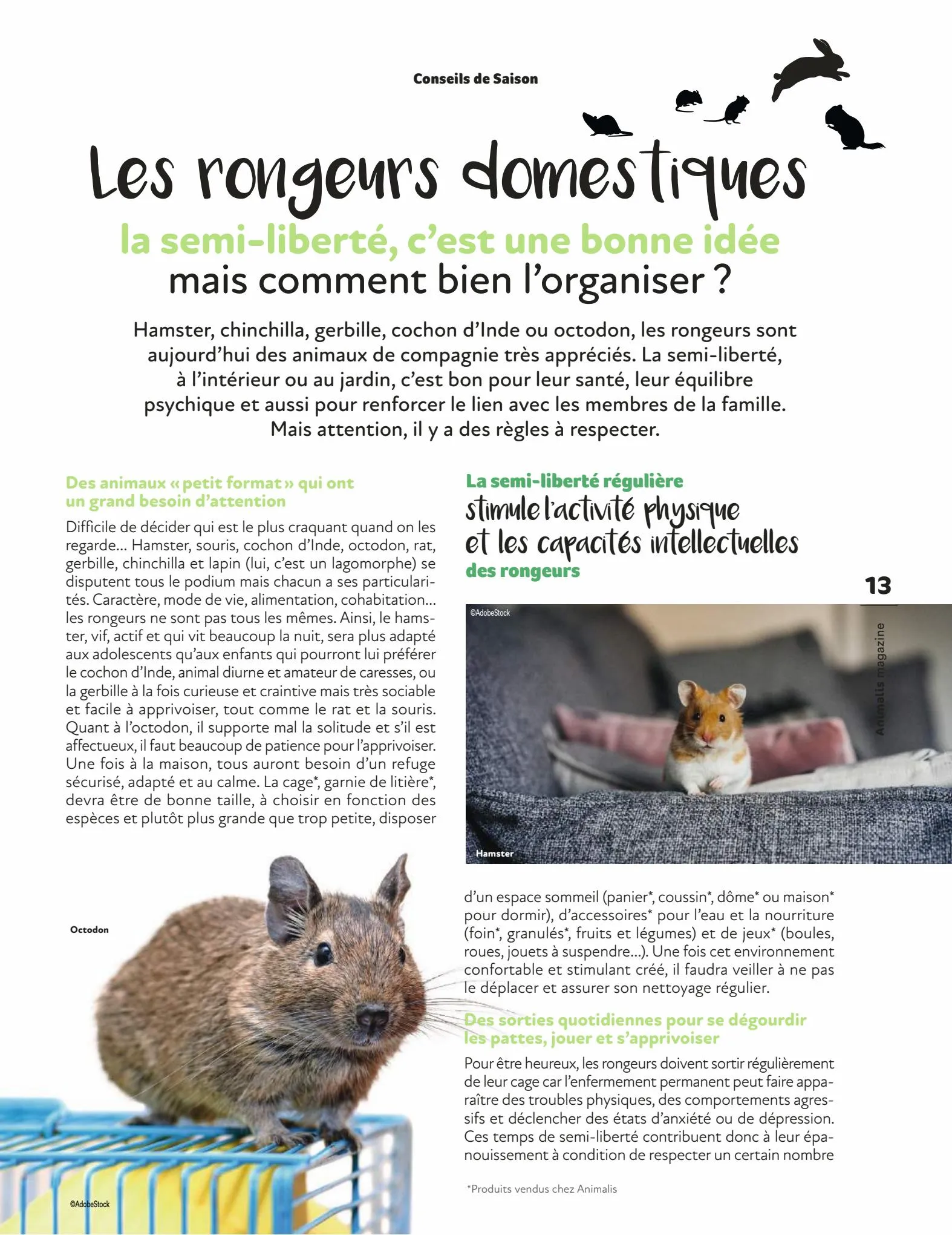 Catalogue Magazine Animalis, page 00013