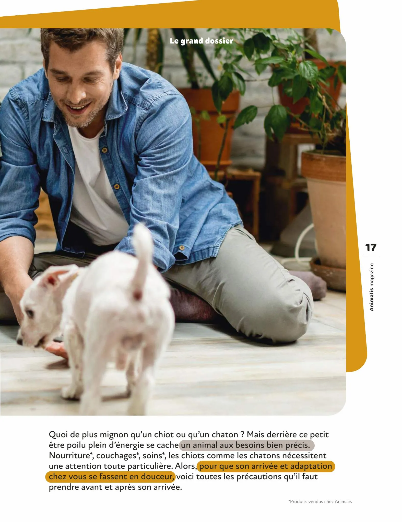 Catalogue Magazine Animalis, page 00017
