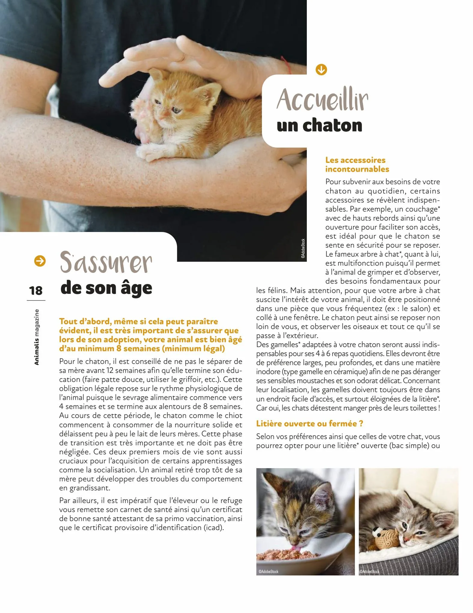 Catalogue Magazine Animalis, page 00018