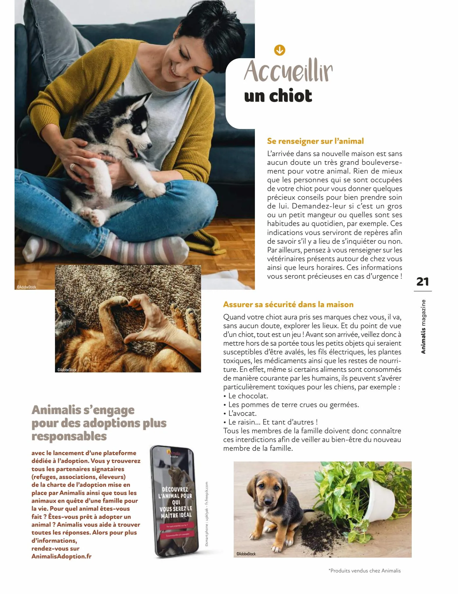 Catalogue Magazine Animalis, page 00021
