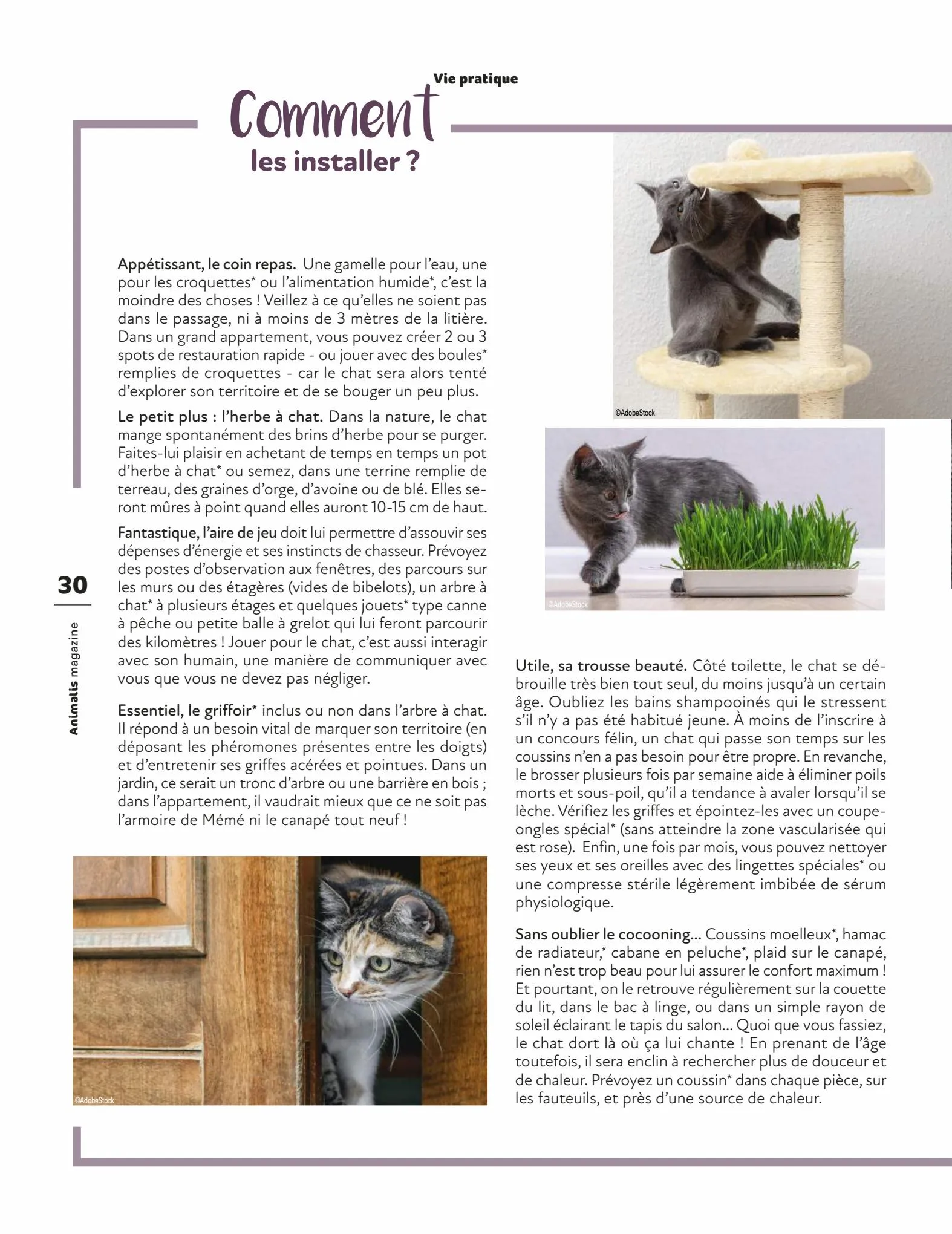 Catalogue Magazine Animalis, page 00030