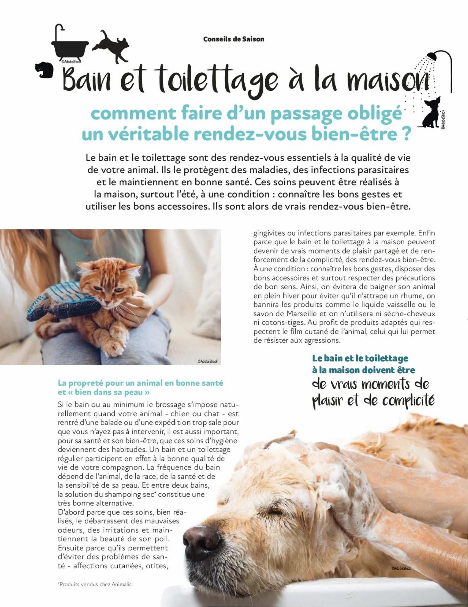 Catalogue Magazine Animalis, page 00012
