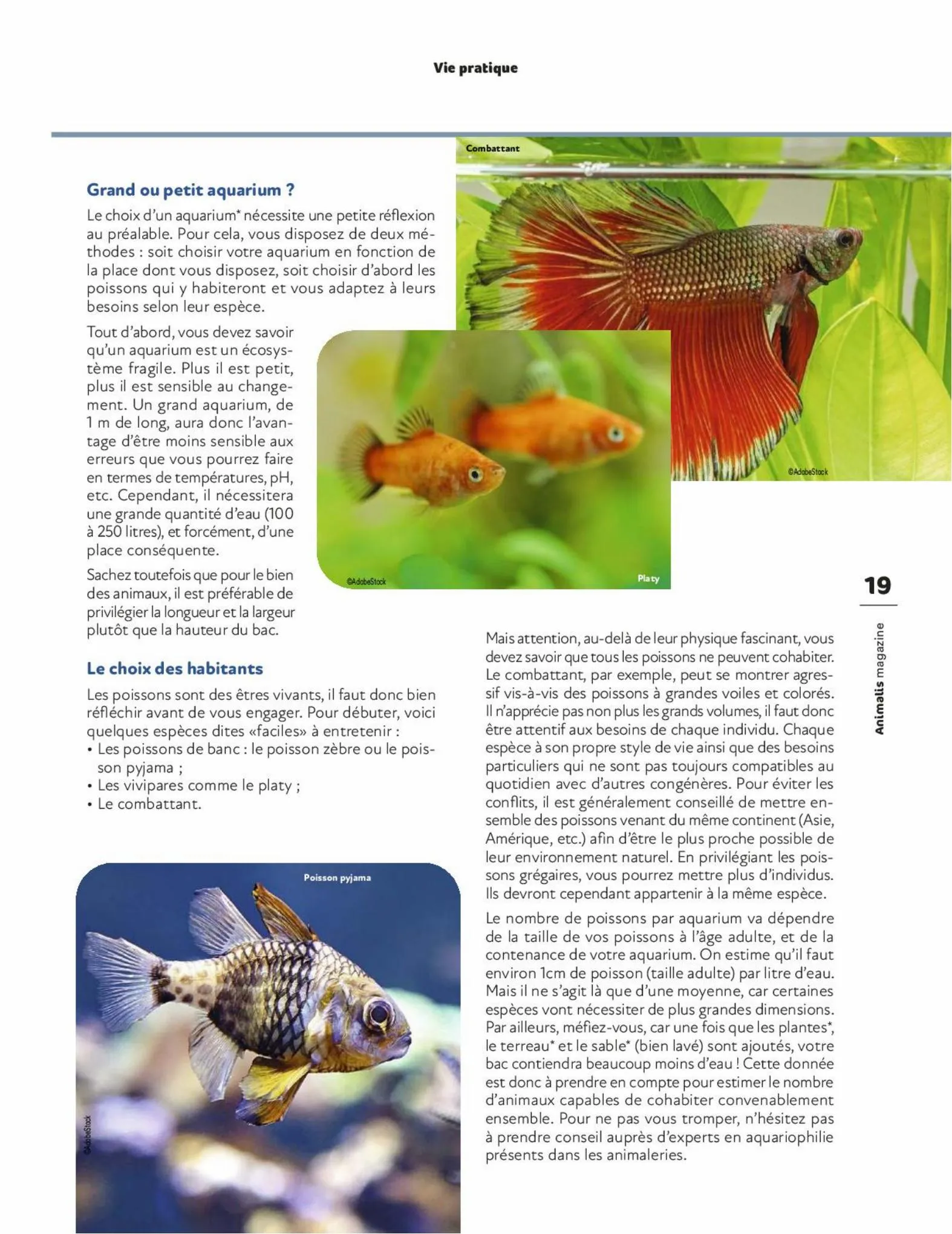 Catalogue Magazine Animalis, page 00019