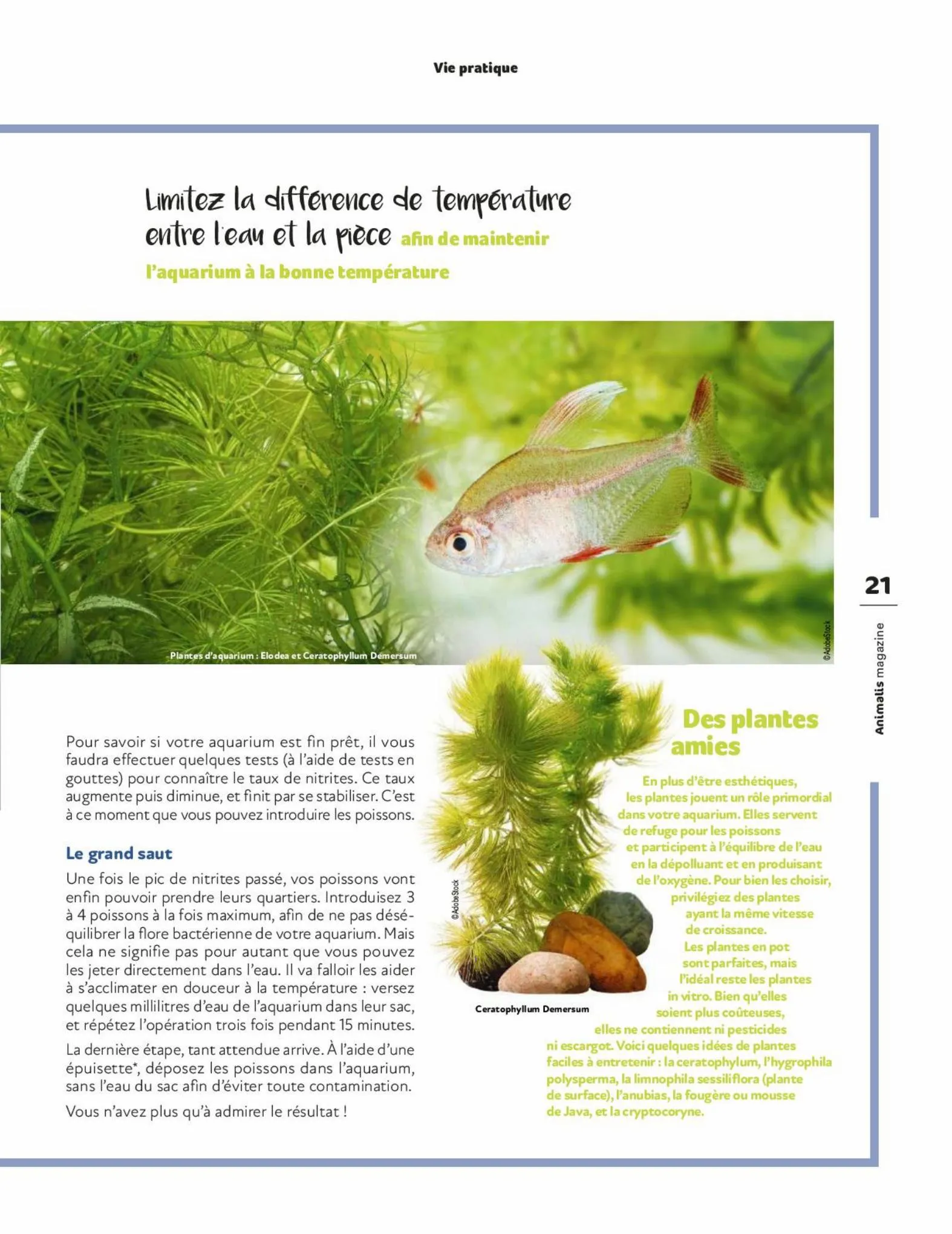 Catalogue Magazine Animalis, page 00021