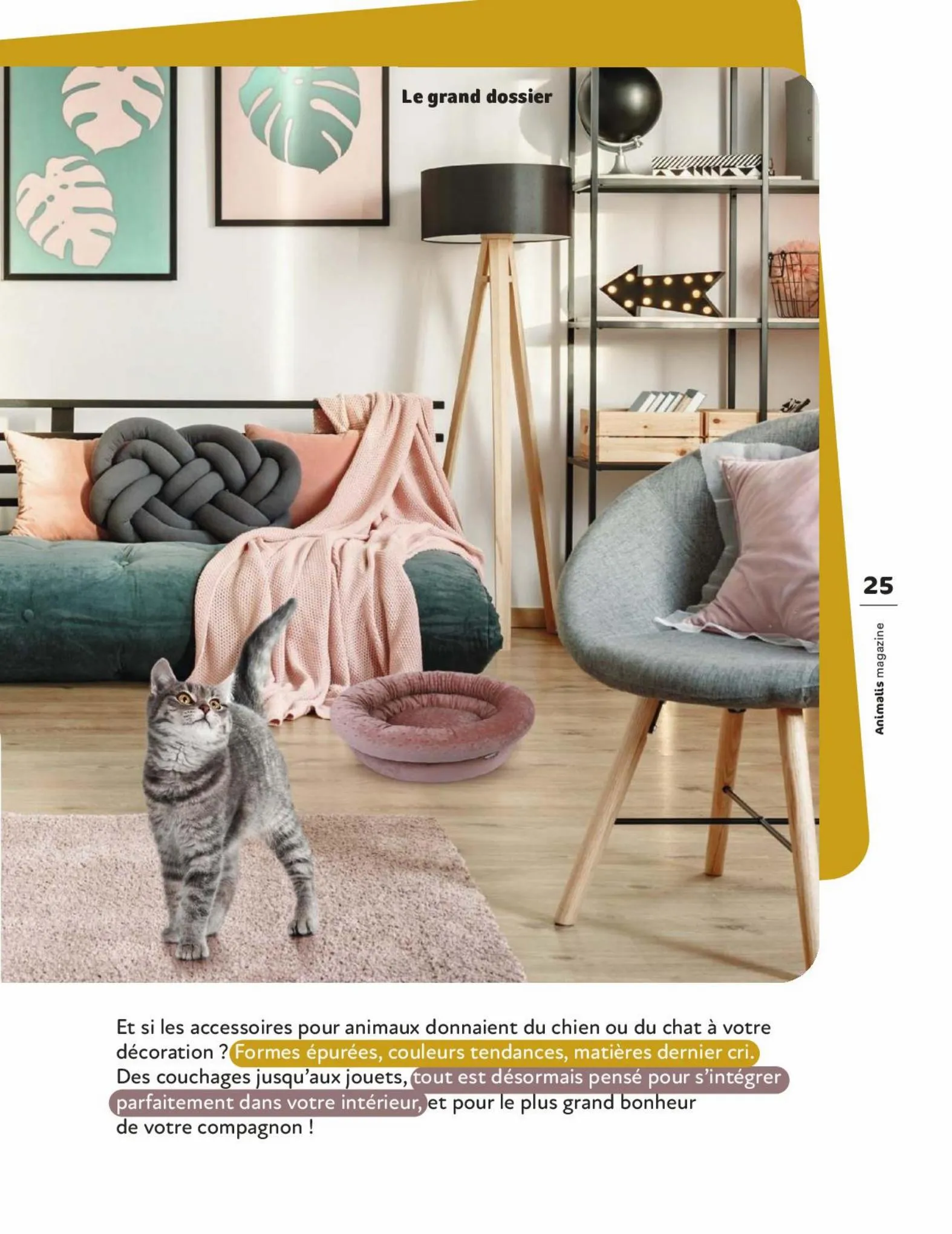 Catalogue Magazine Animalis, page 00025