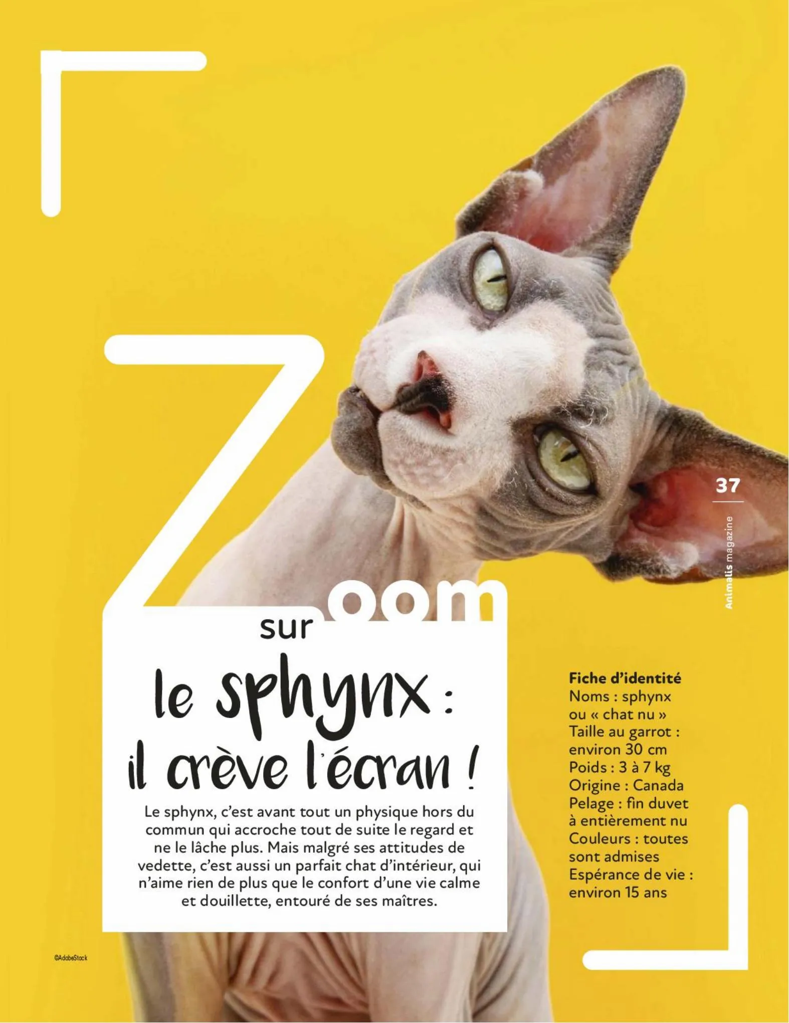 Catalogue Magazine Animalis, page 00037
