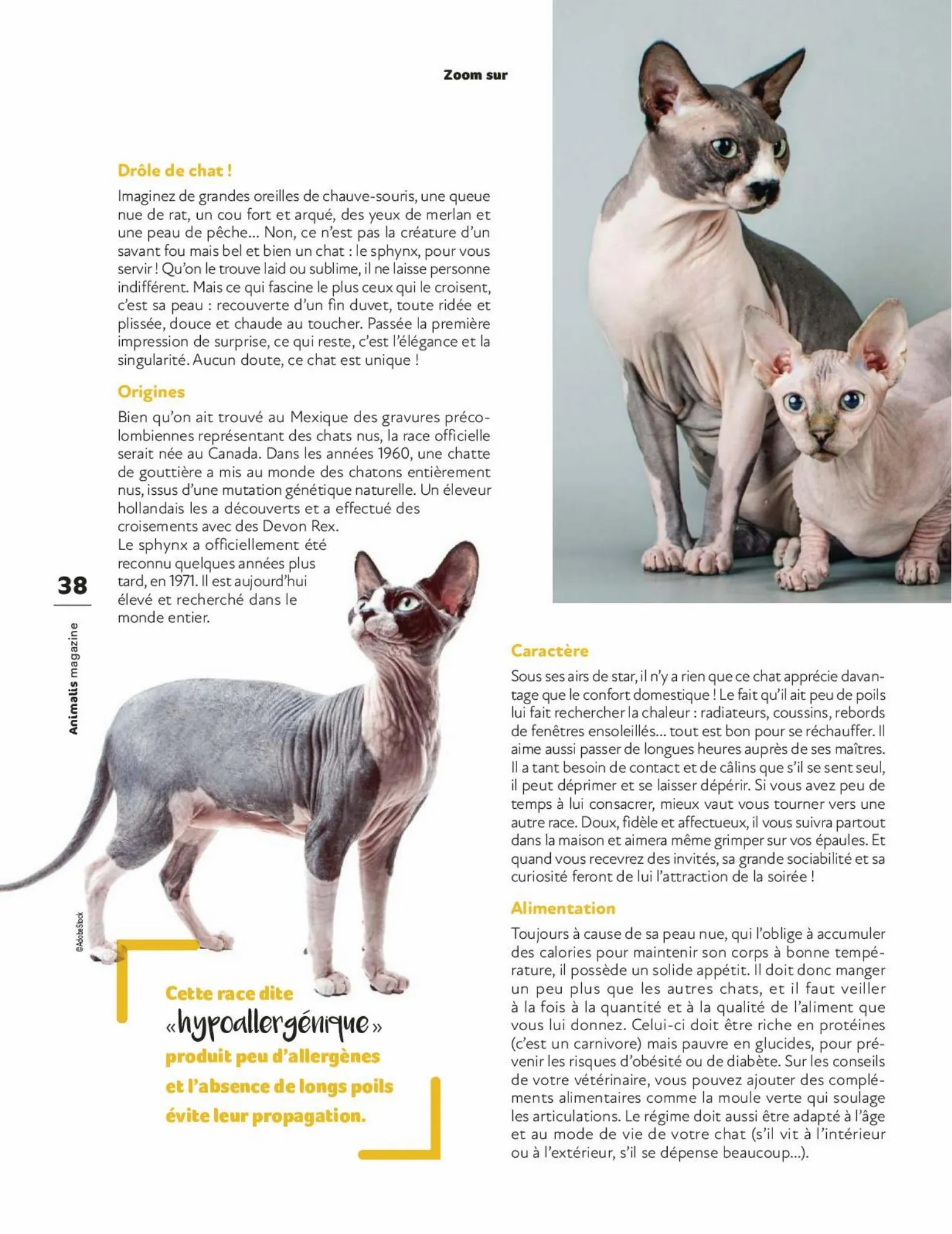 Catalogue Magazine Animalis, page 00038