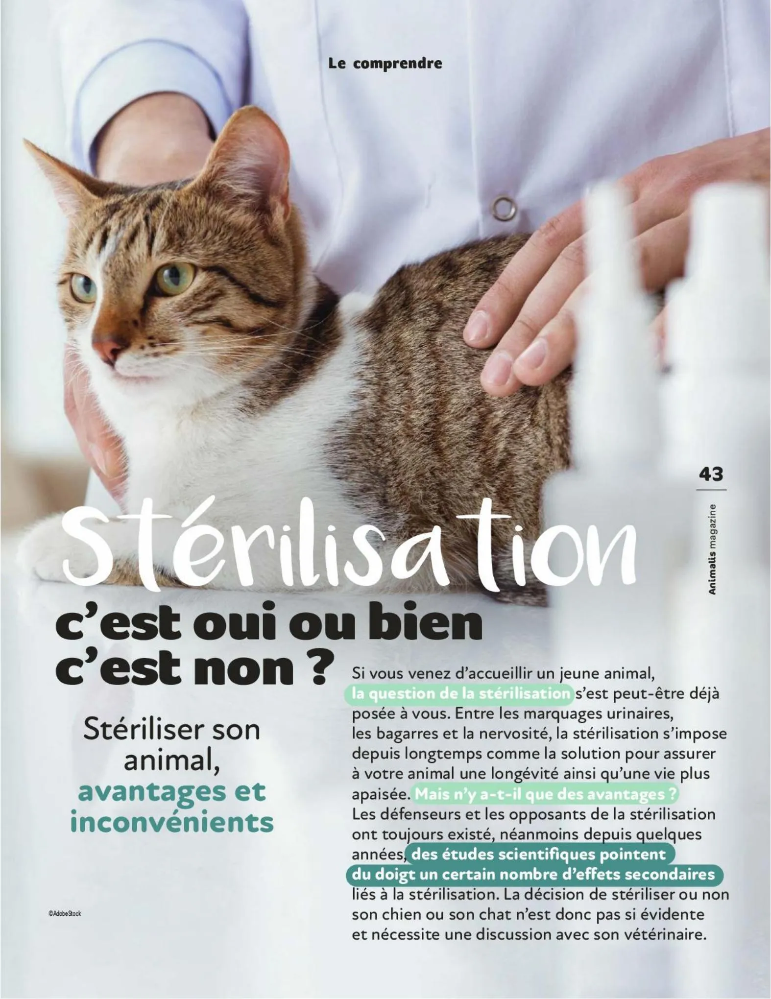Catalogue Magazine Animalis, page 00043