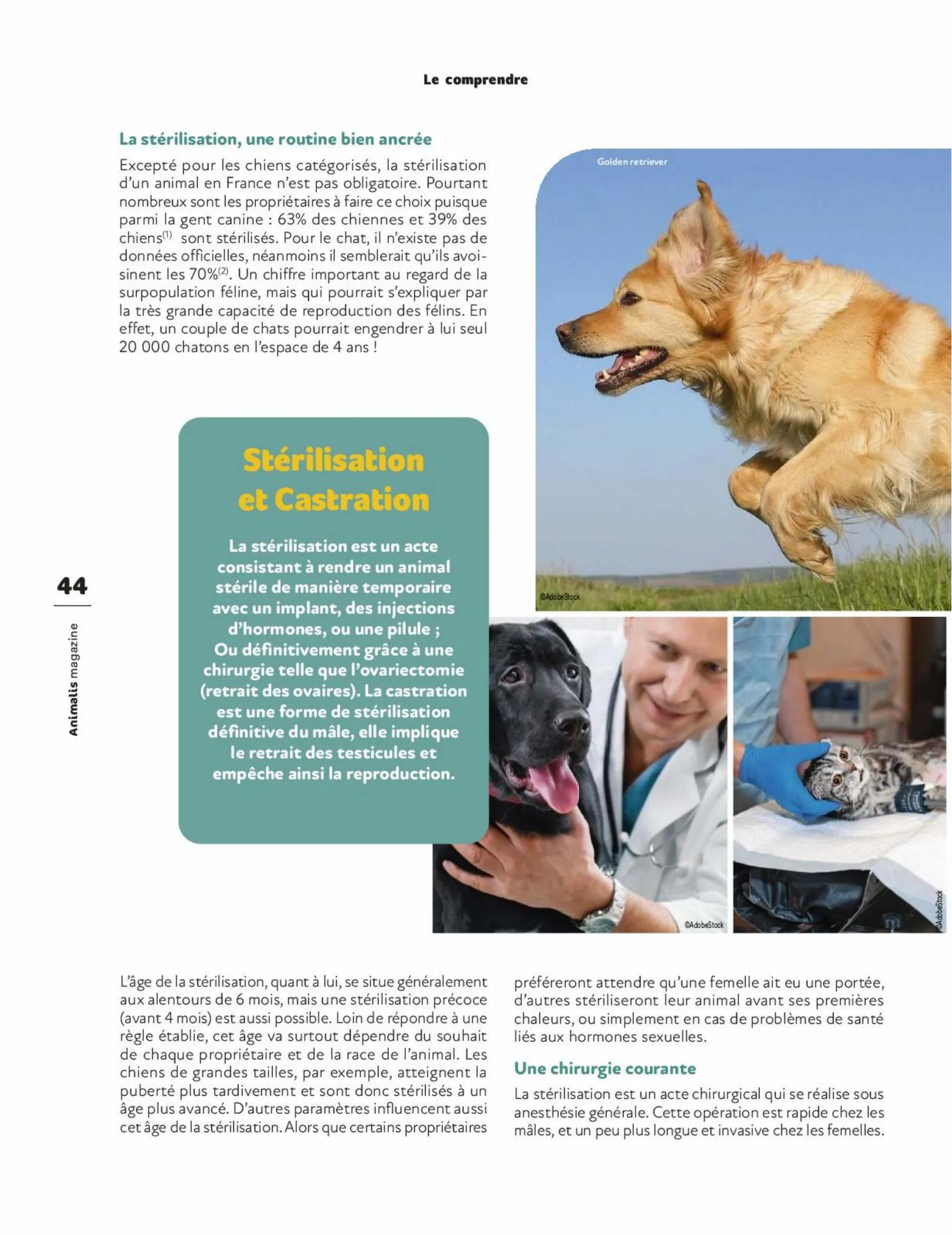 Catalogue Magazine Animalis, page 00044