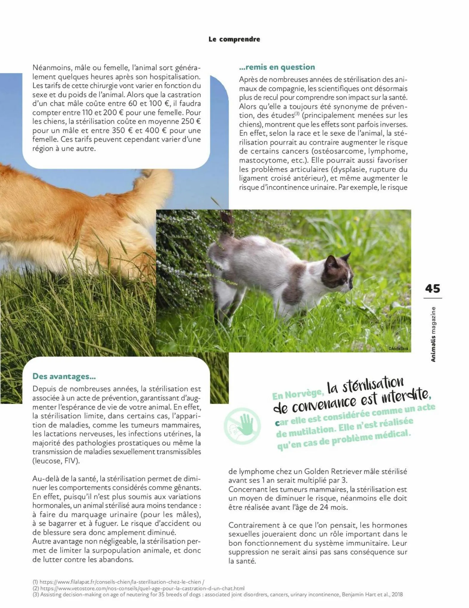 Catalogue Magazine Animalis, page 00045