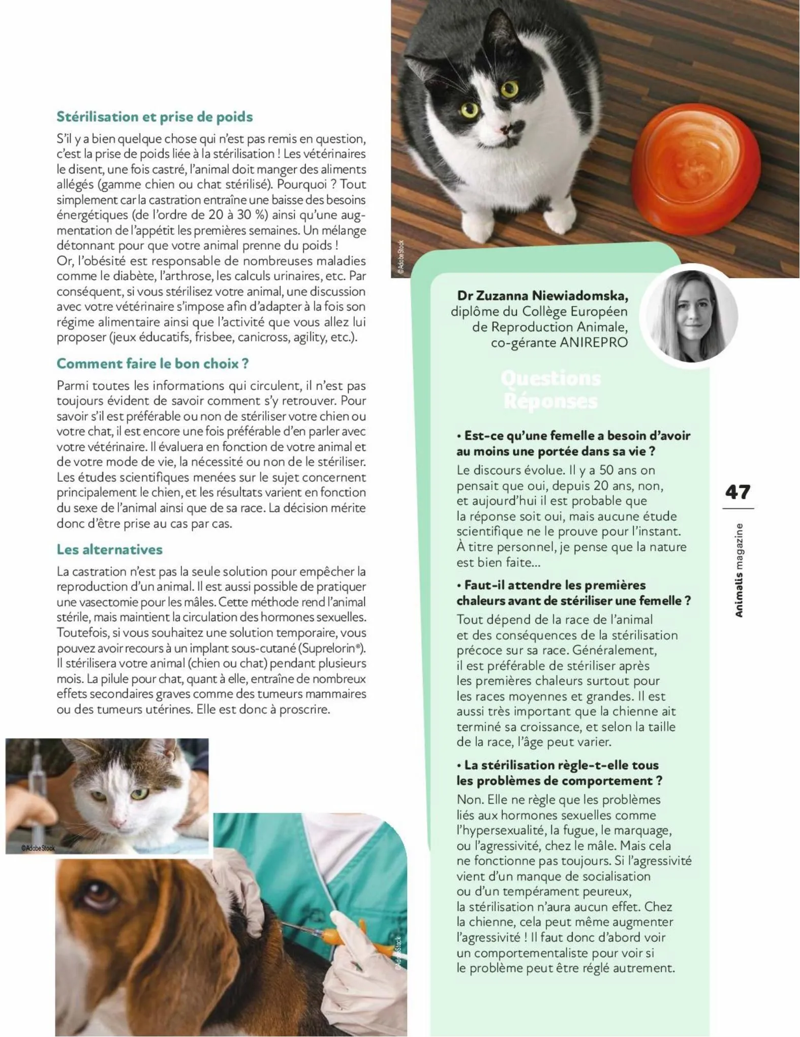 Catalogue Magazine Animalis, page 00047