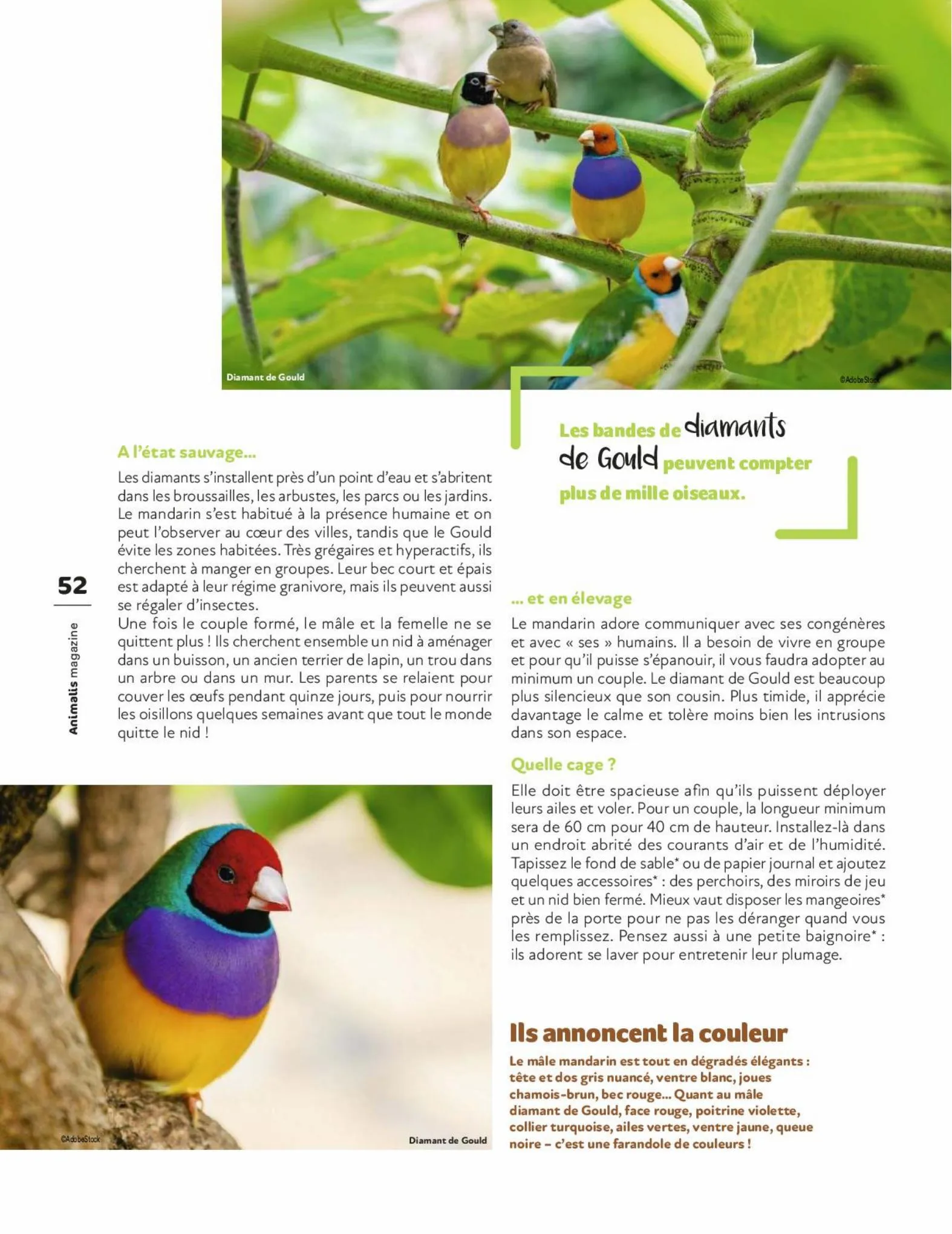 Catalogue Magazine Animalis, page 00052