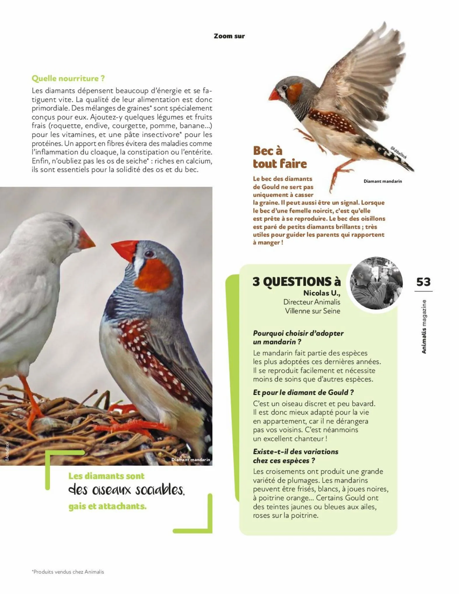 Catalogue Magazine Animalis, page 00053