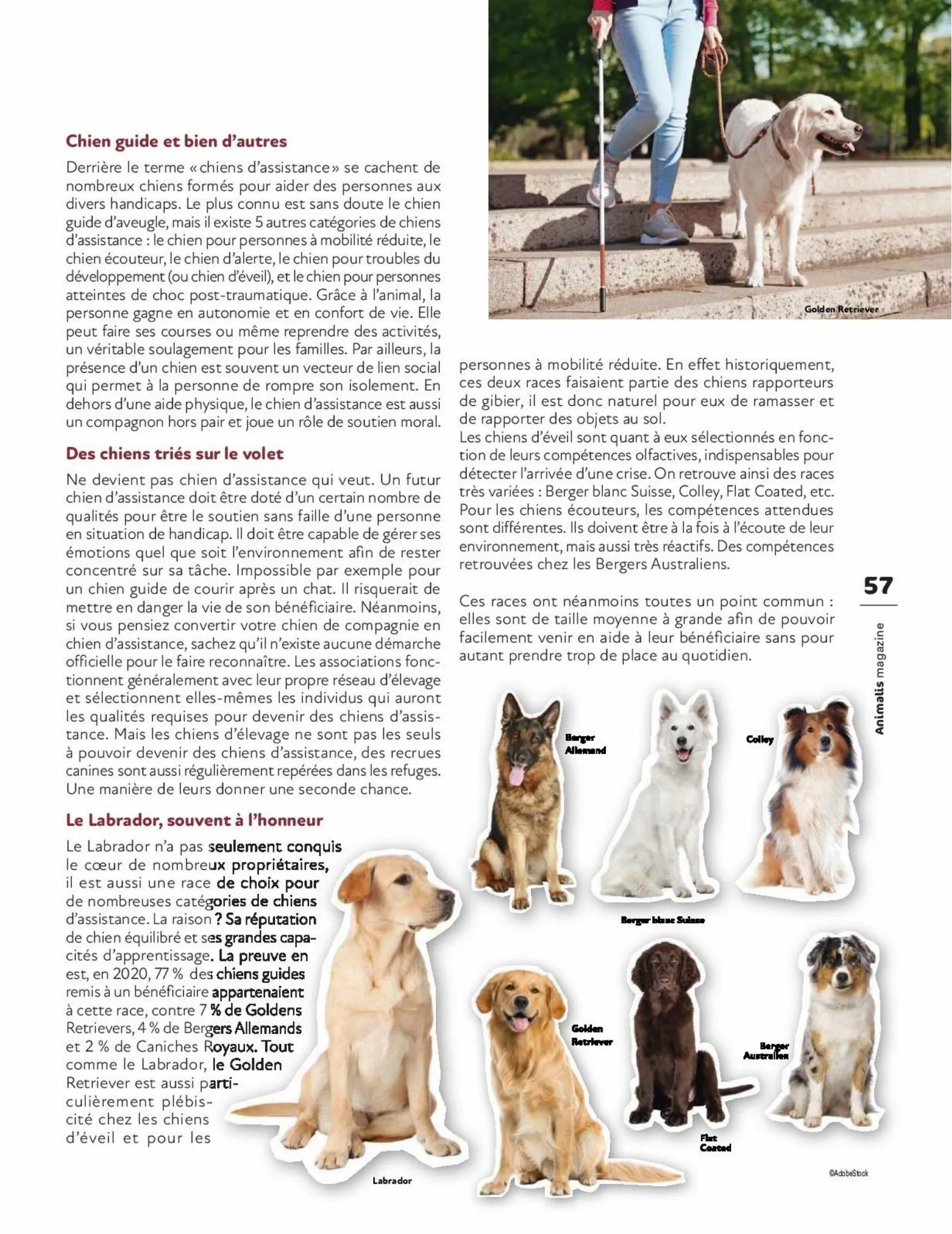 Catalogue Magazine Animalis, page 00057
