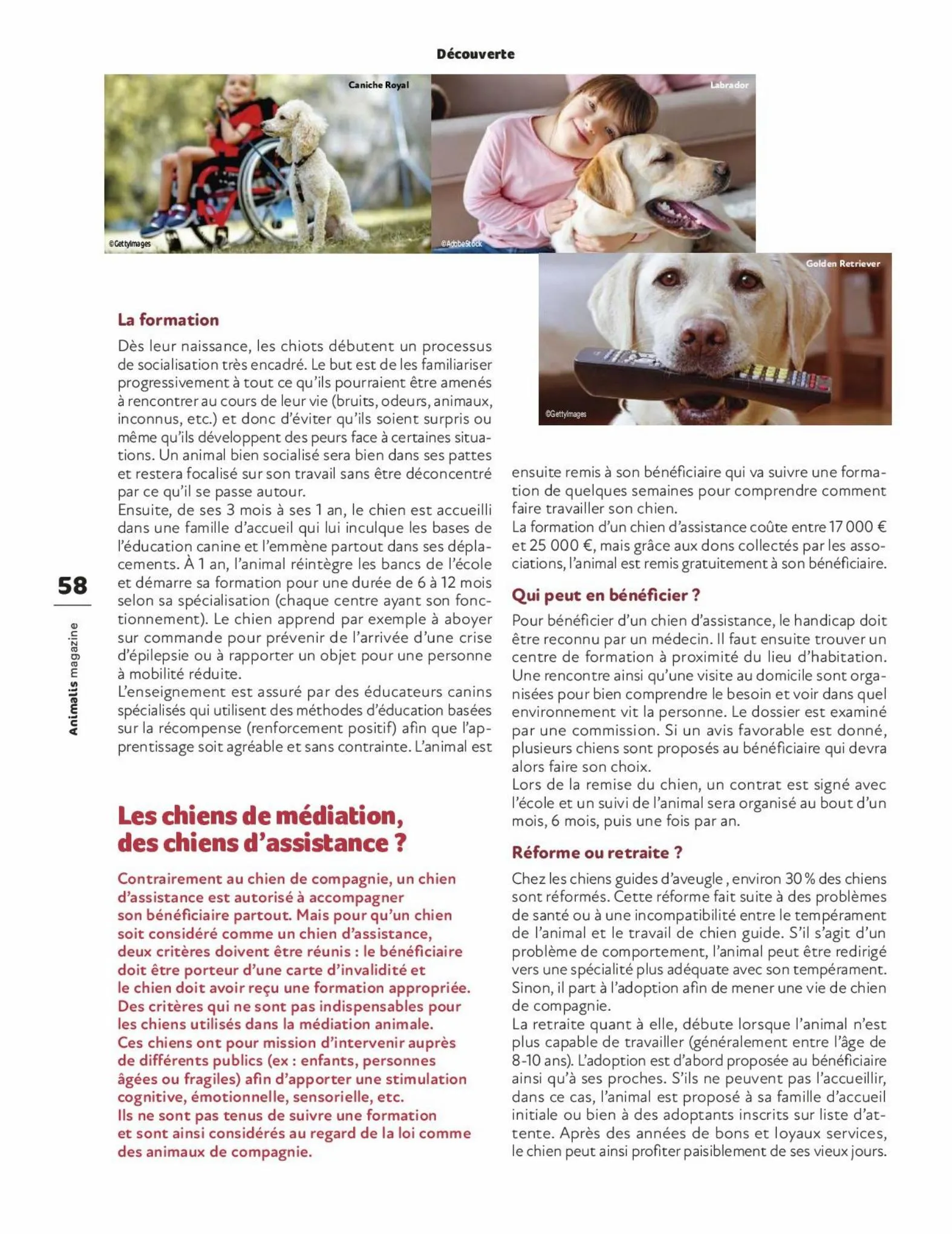 Catalogue Magazine Animalis, page 00058