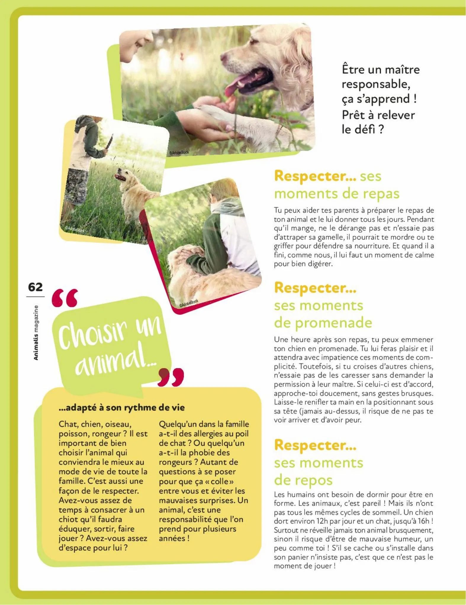 Catalogue Magazine Animalis, page 00062