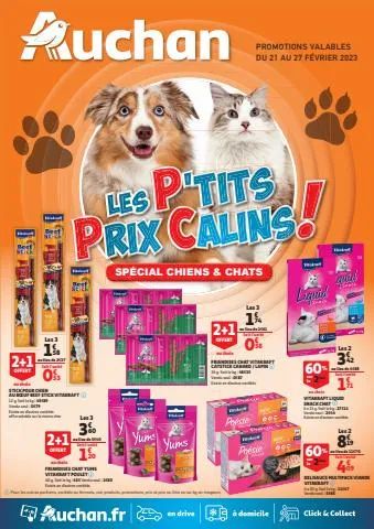 Spécial Chiens & Chats