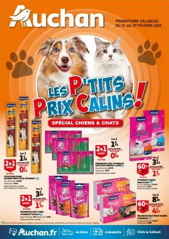 Spécial Chiens & Chats