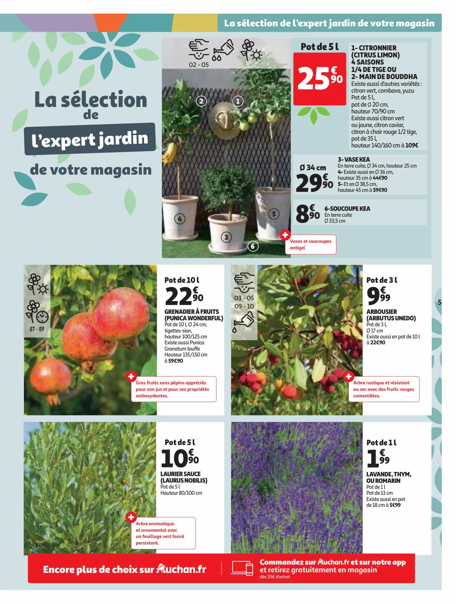 Catalogue Devenez une star du jardin, page 00005