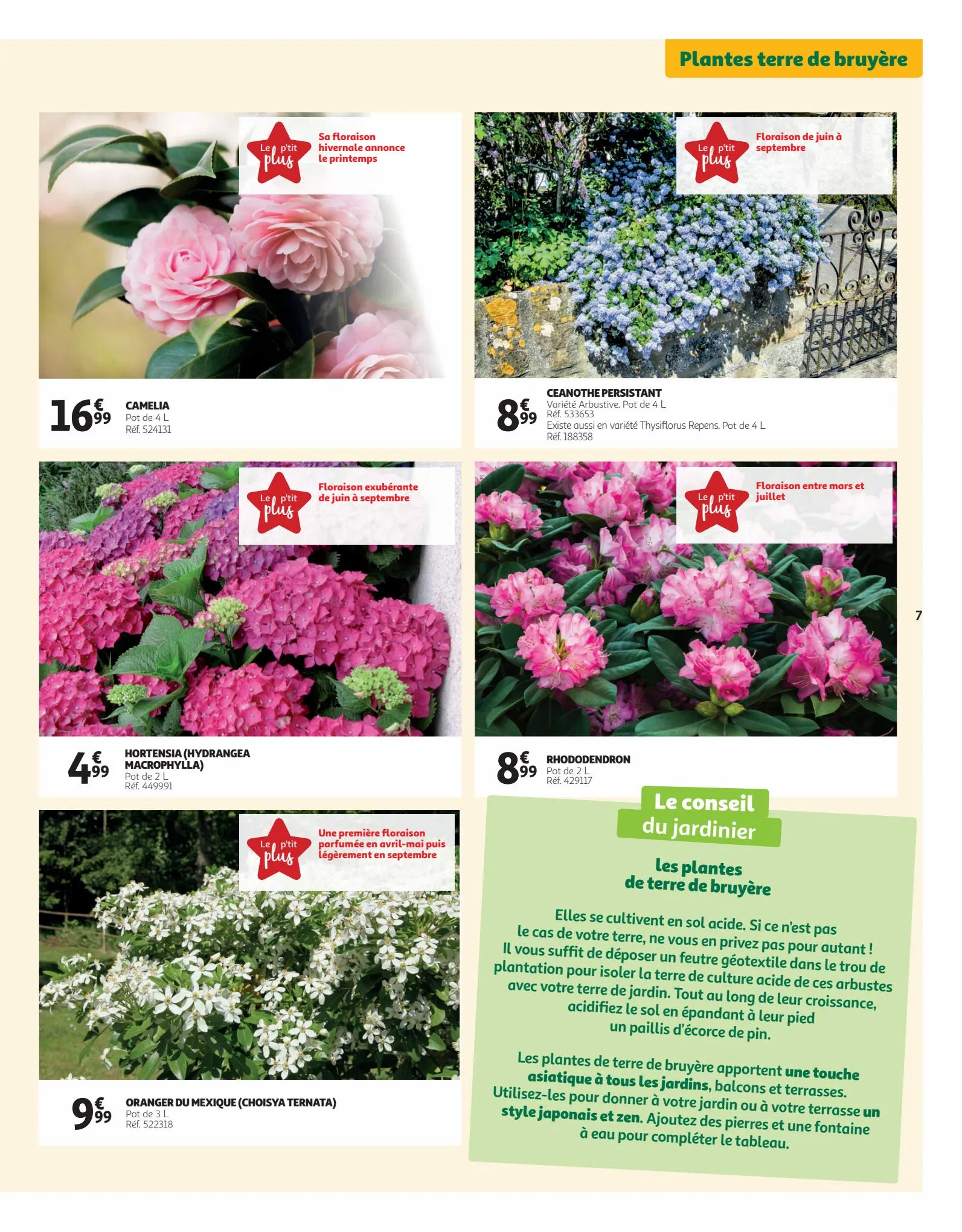 Catalogue Qui plante un jardin, plante le bonheur !, page 00007