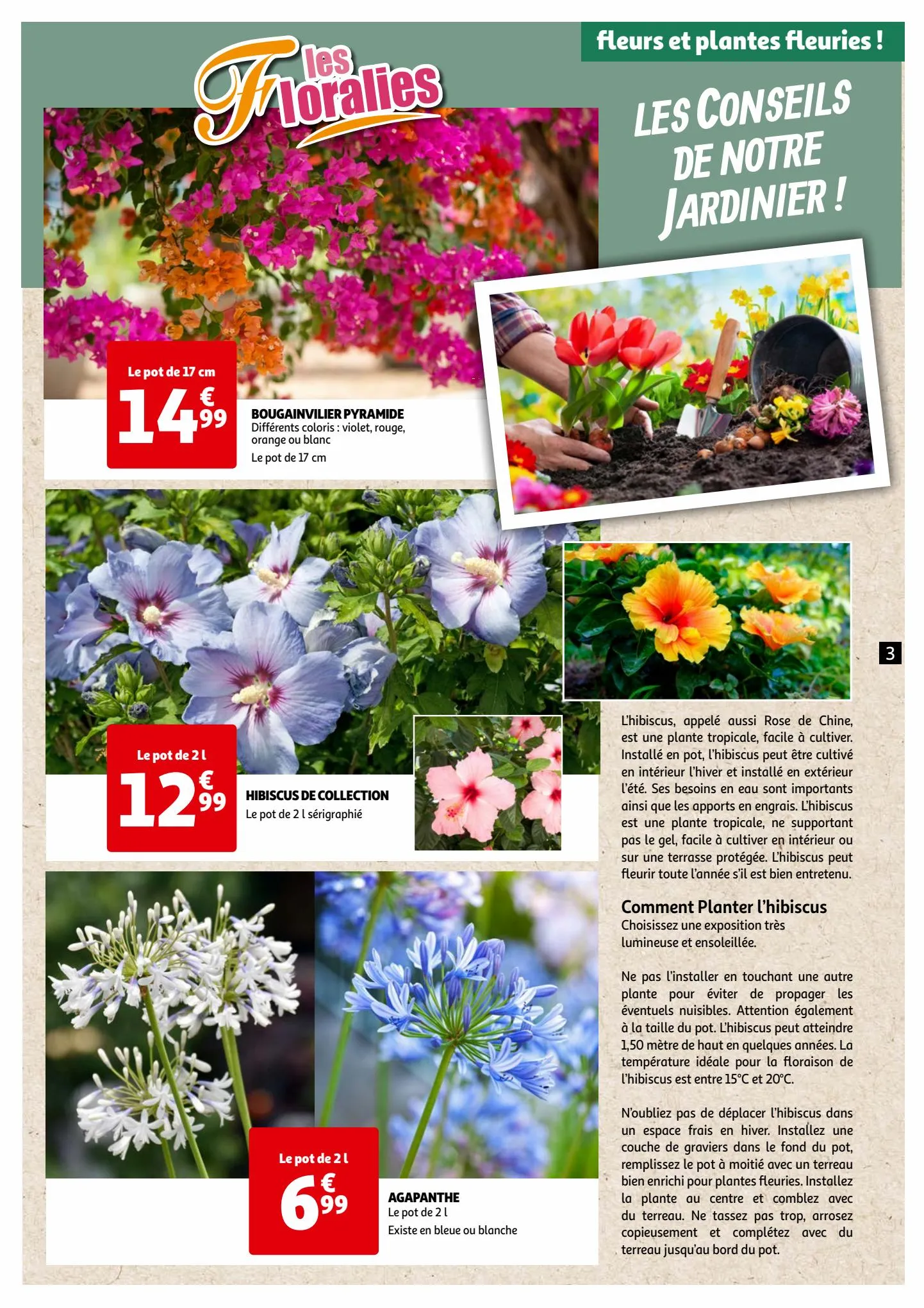 Catalogue Les floralies, page 00003