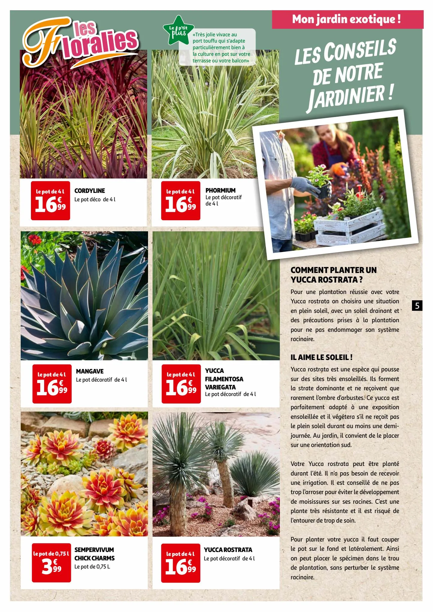 Catalogue Les floralies, page 00005