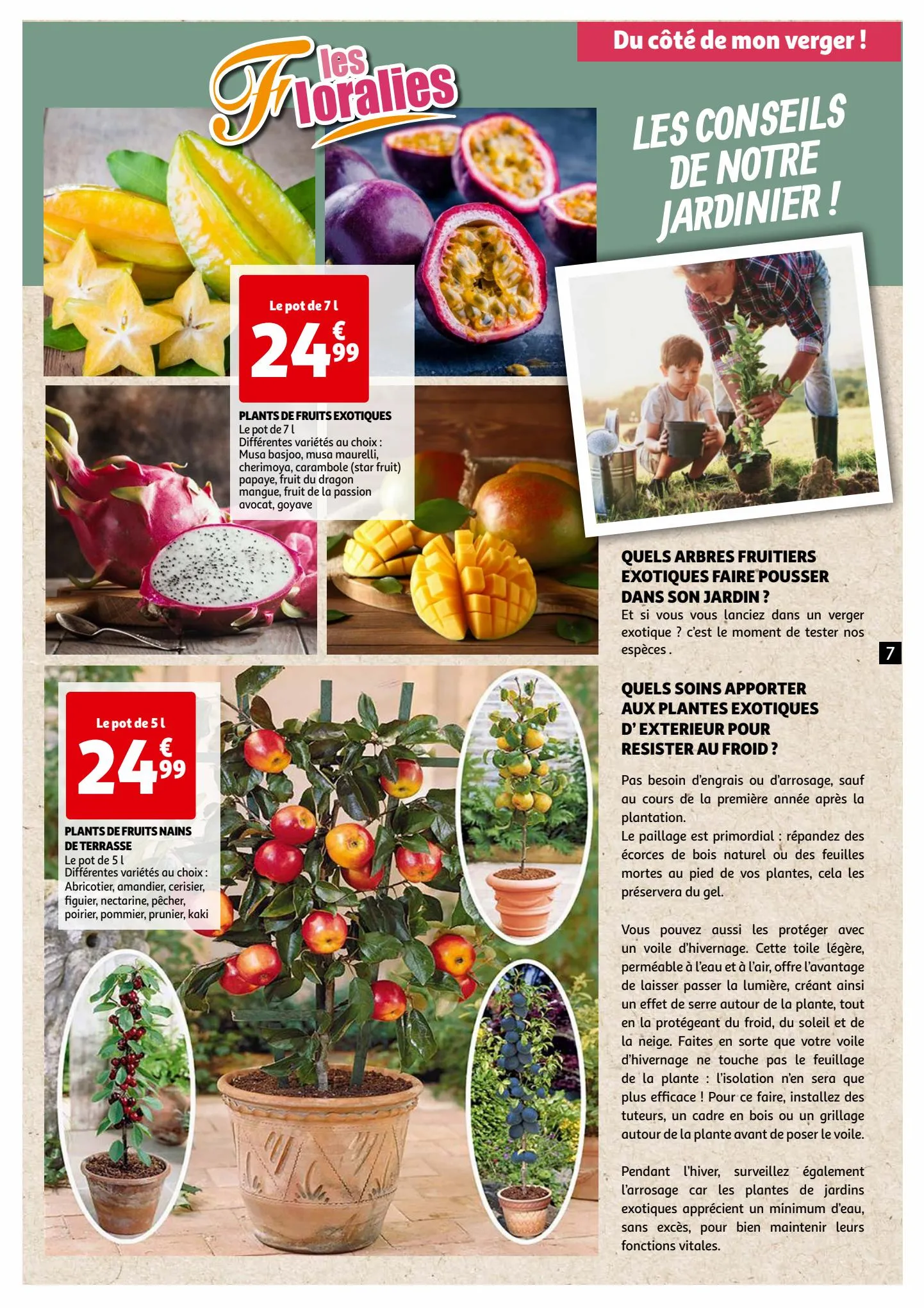 Catalogue Les floralies, page 00007