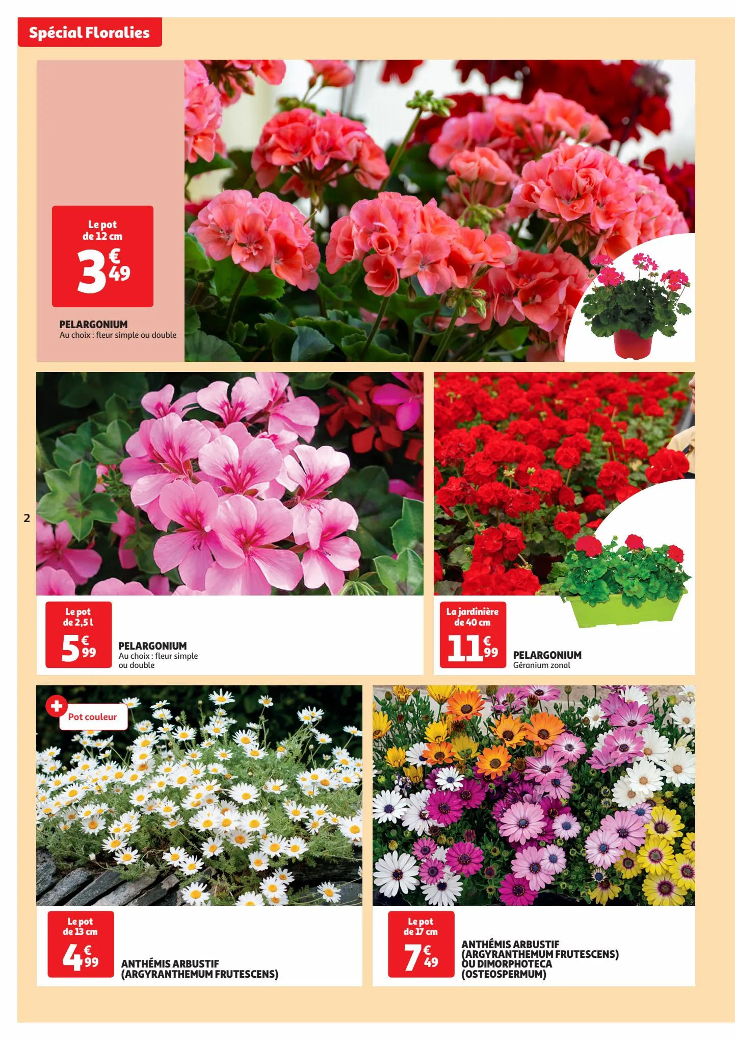 Catalogue Spécial floralies, page 00002