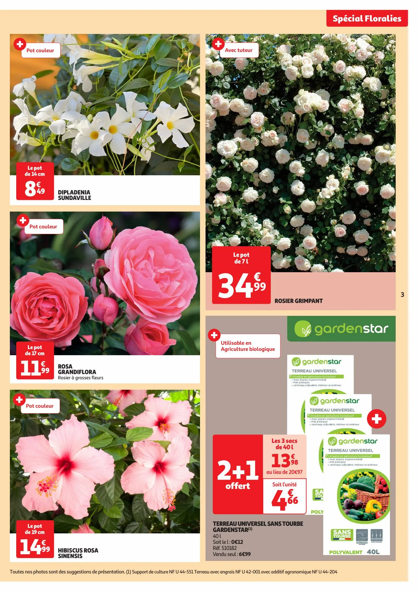 Catalogue Spécial floralies, page 00003