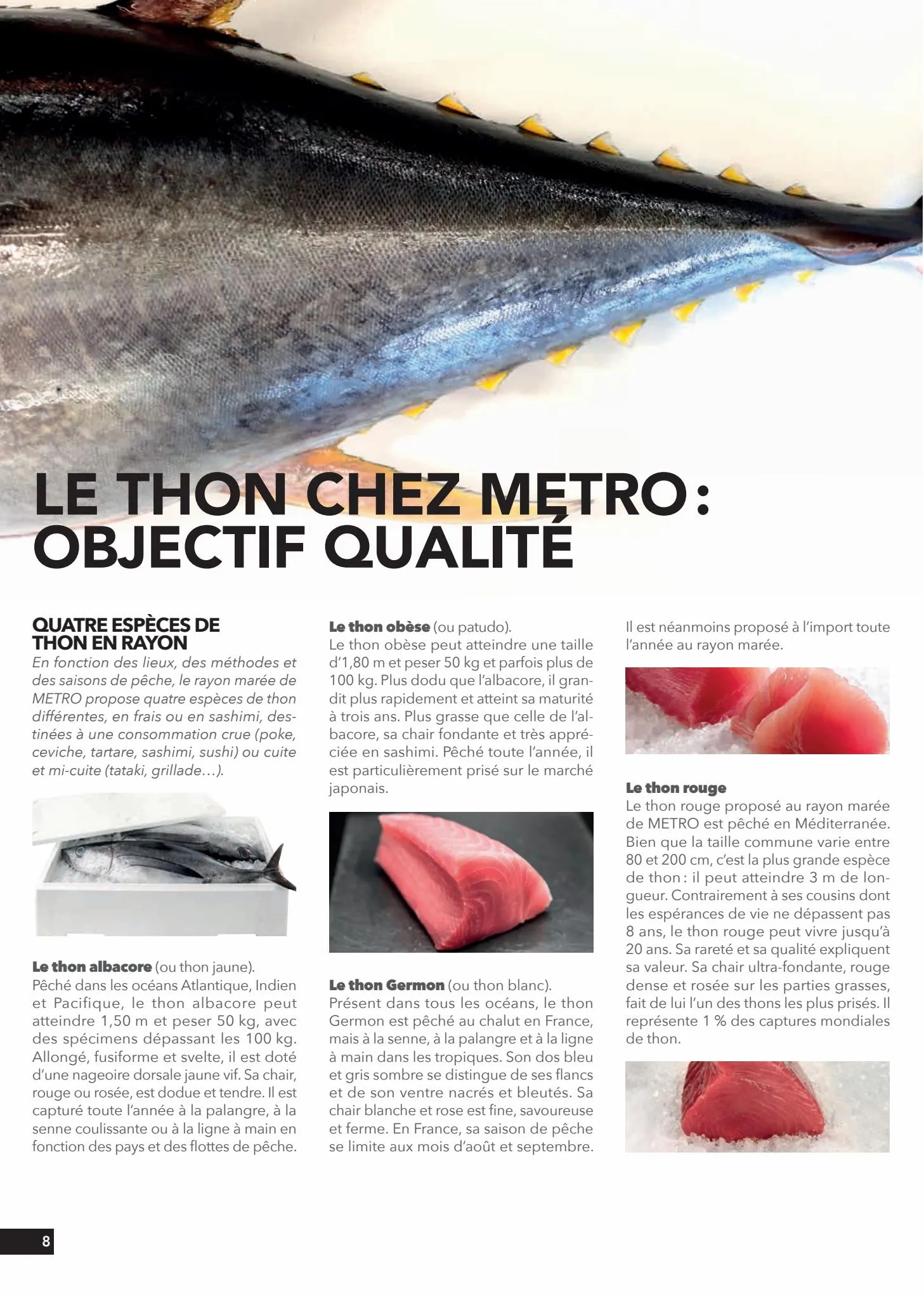 Catalogue #Expertise Zoom sur le thon, page 00008