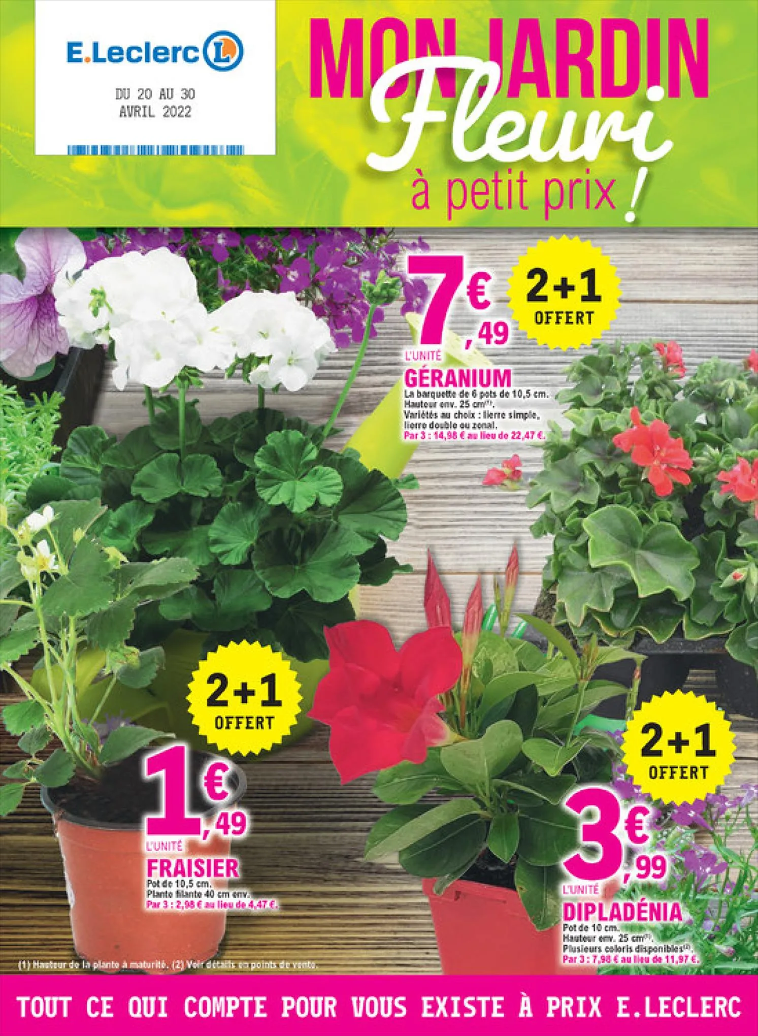 Catalogue Mon jardin fleuri à petit prix!, page 00001