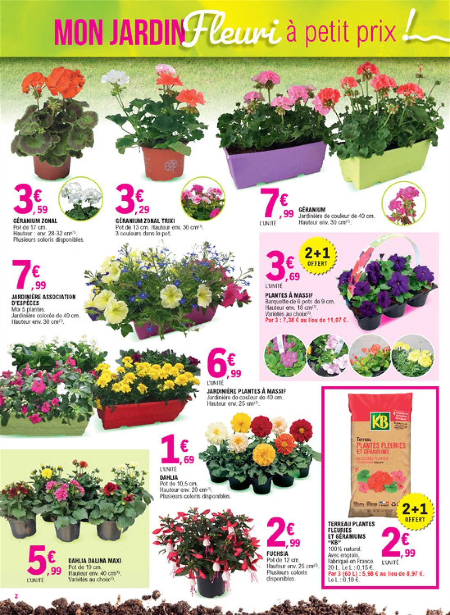 Catalogue Mon jardin fleuri à petit prix!, page 00002