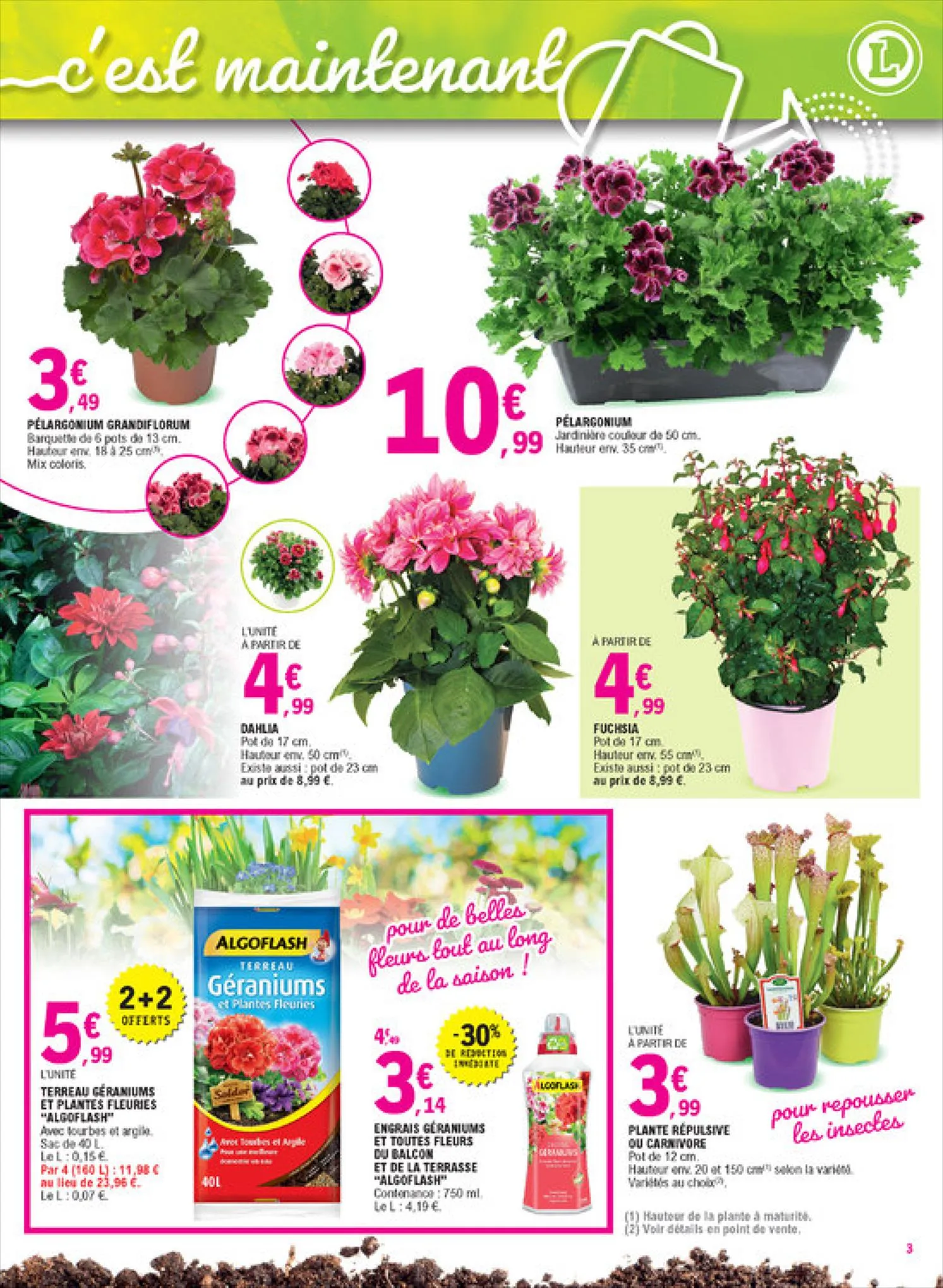 Catalogue Mon jardin fleuri à petit prix!, page 00003